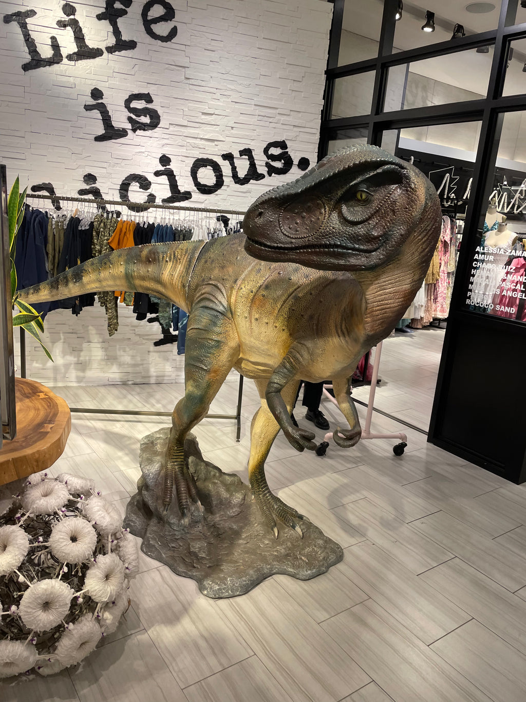 Head Turned Allosaurus Dinosaur