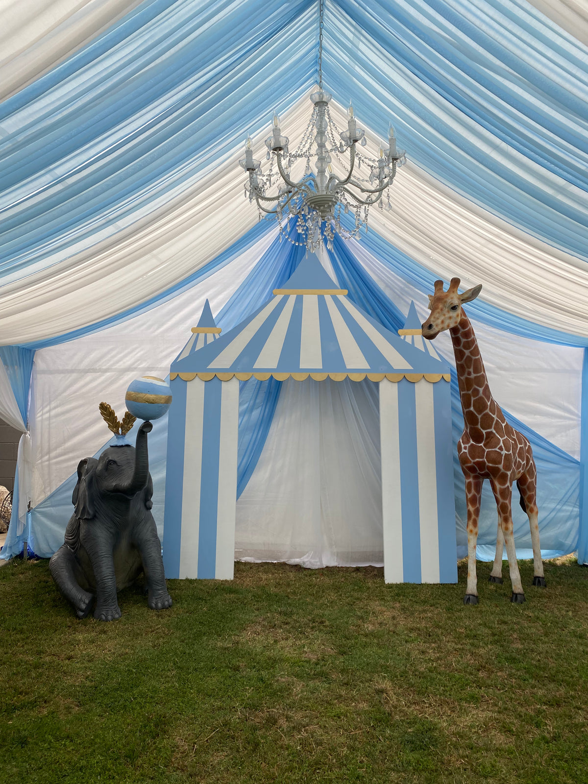 Blue Circus / Carnival Tent Backdrop