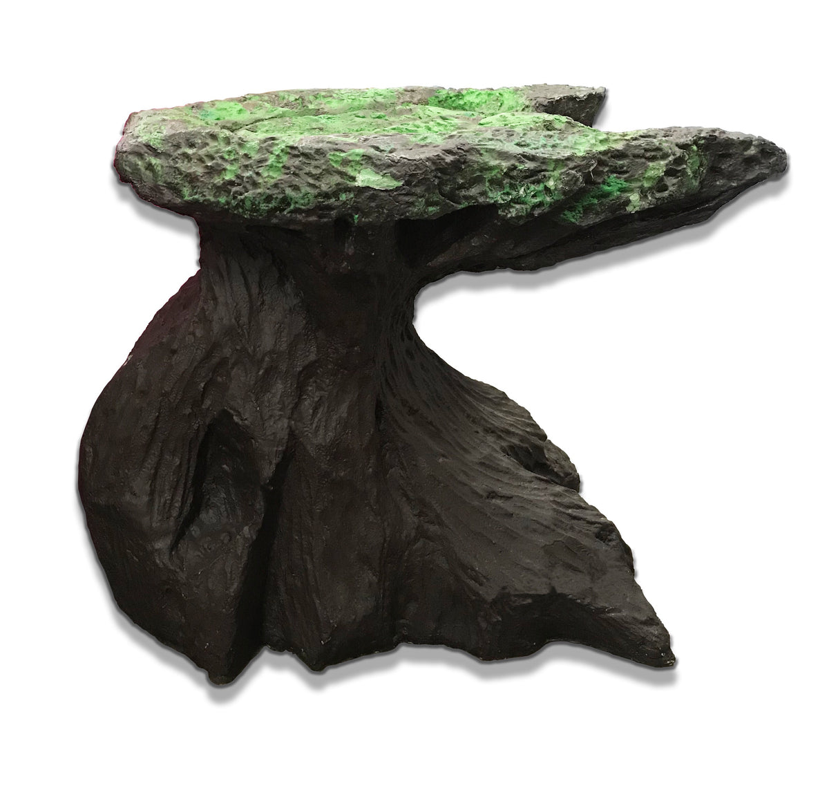 Tree Stump