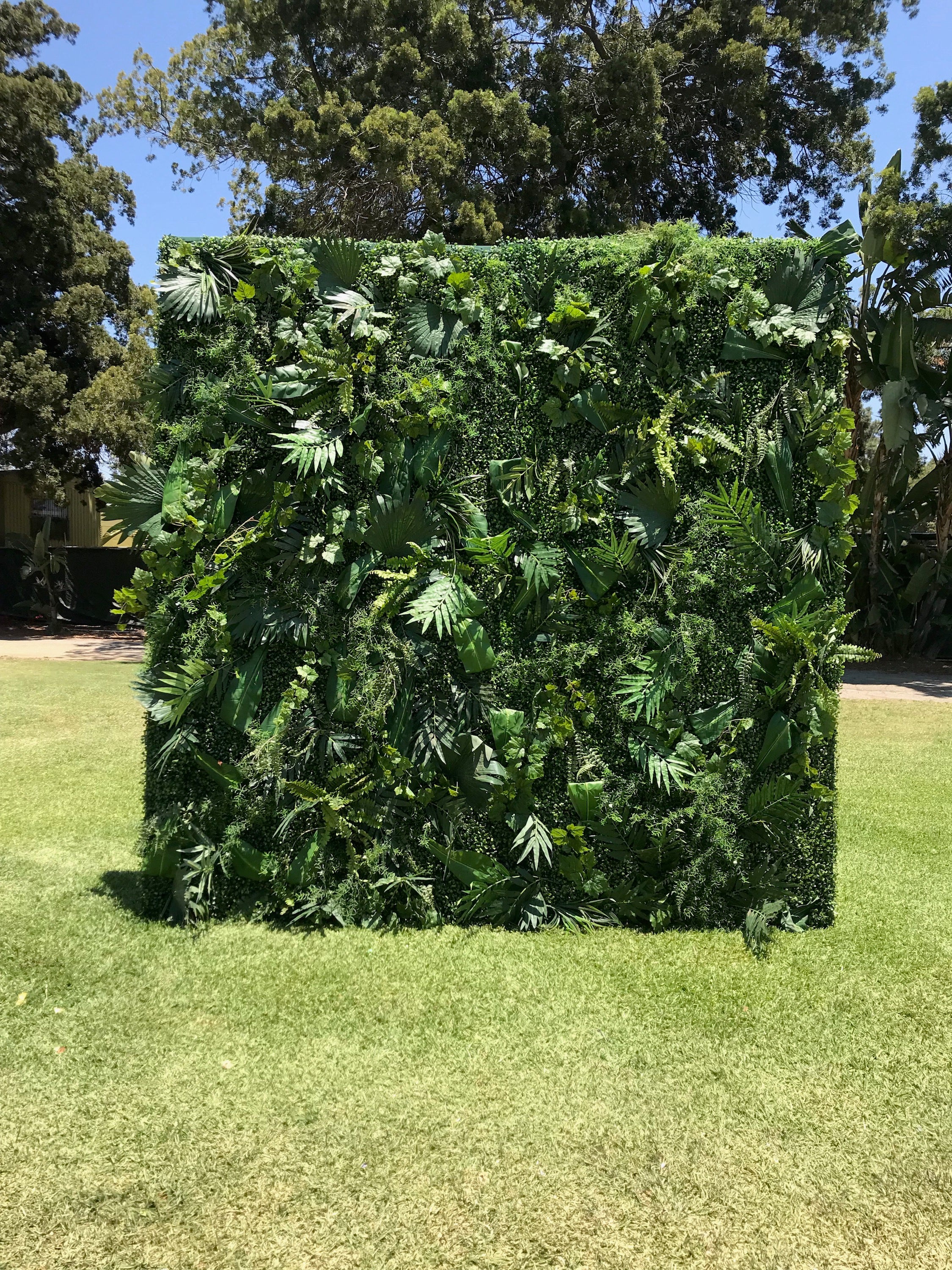 Foliage Wall Backdrop