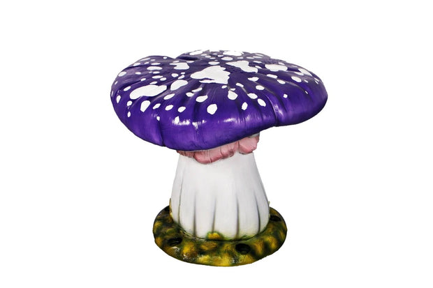 Purple Top Mushroom Stool