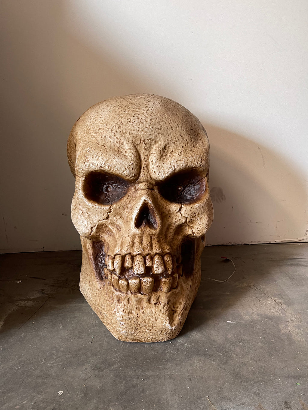 Giant Skull Head