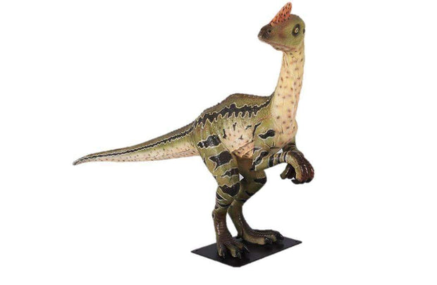 Paradoxus Dinosaur