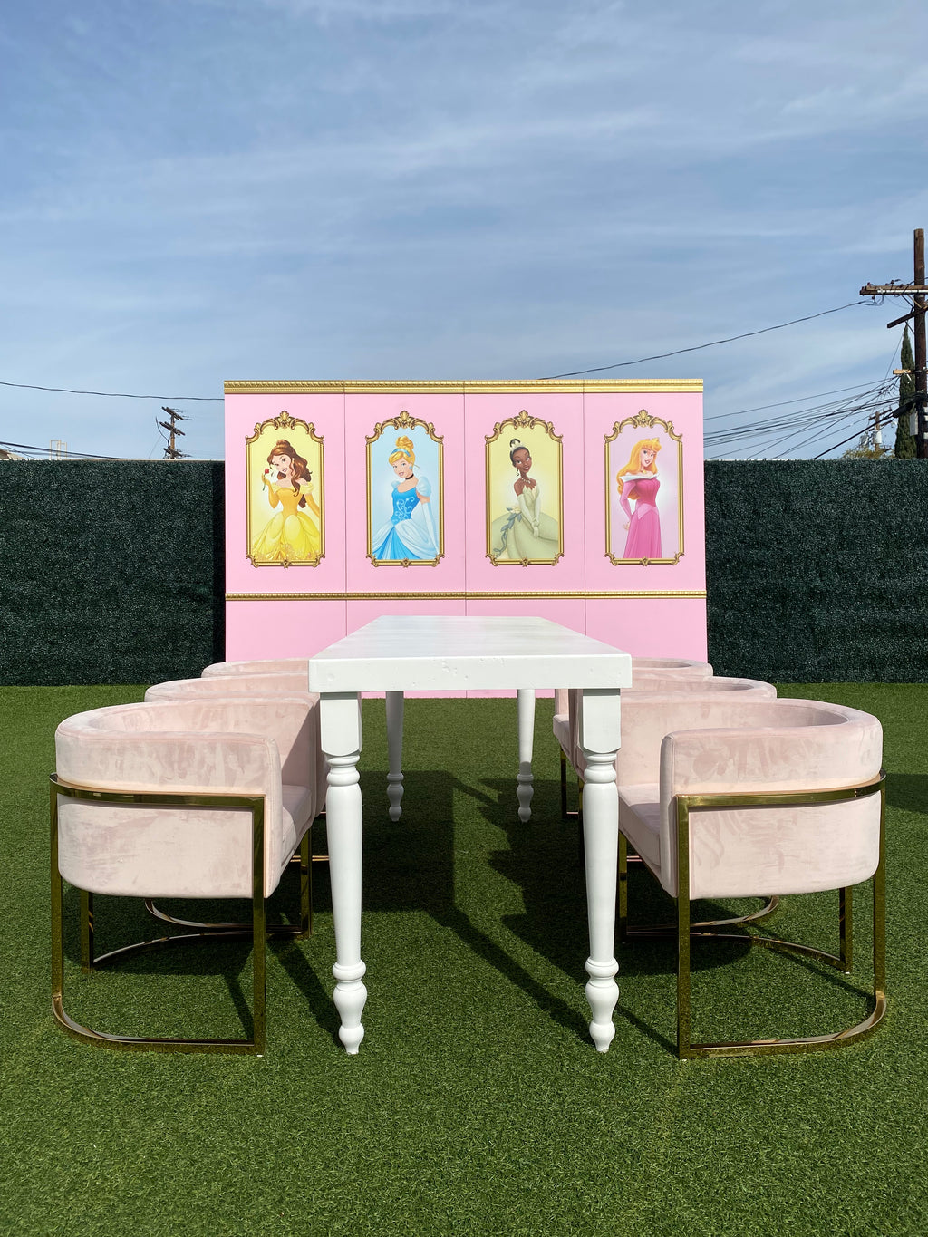 Princess Tiana Backdrop Panel