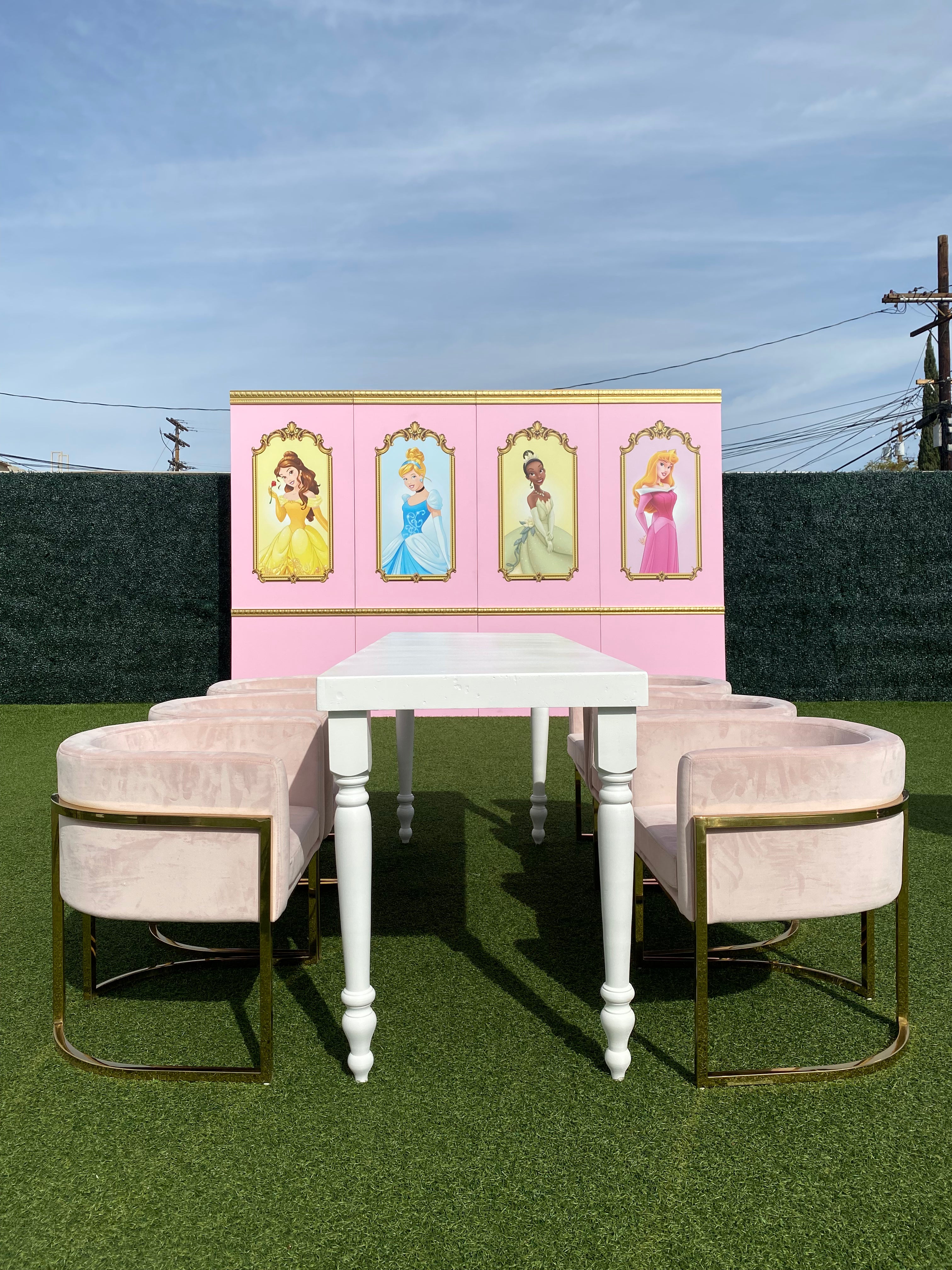 Princess Tiana Backdrop Panel