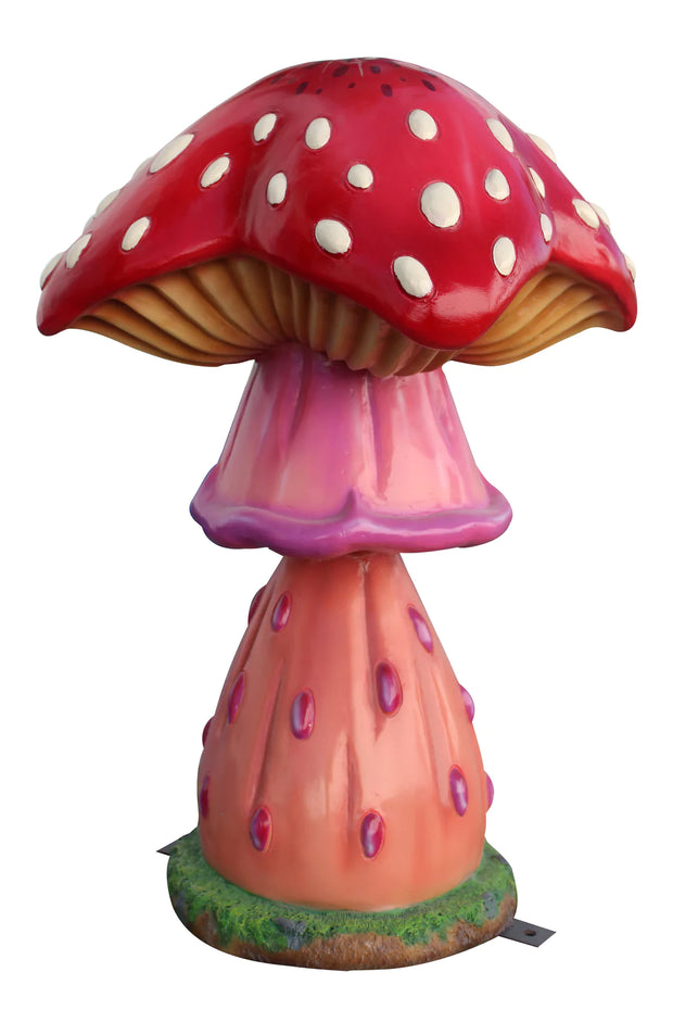Jelly Mushroom Stool