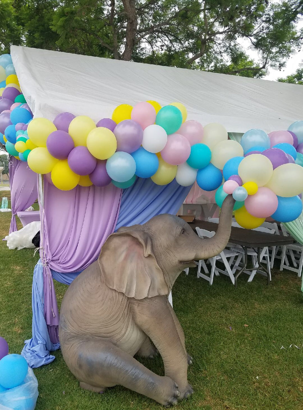 Sitting Elephant