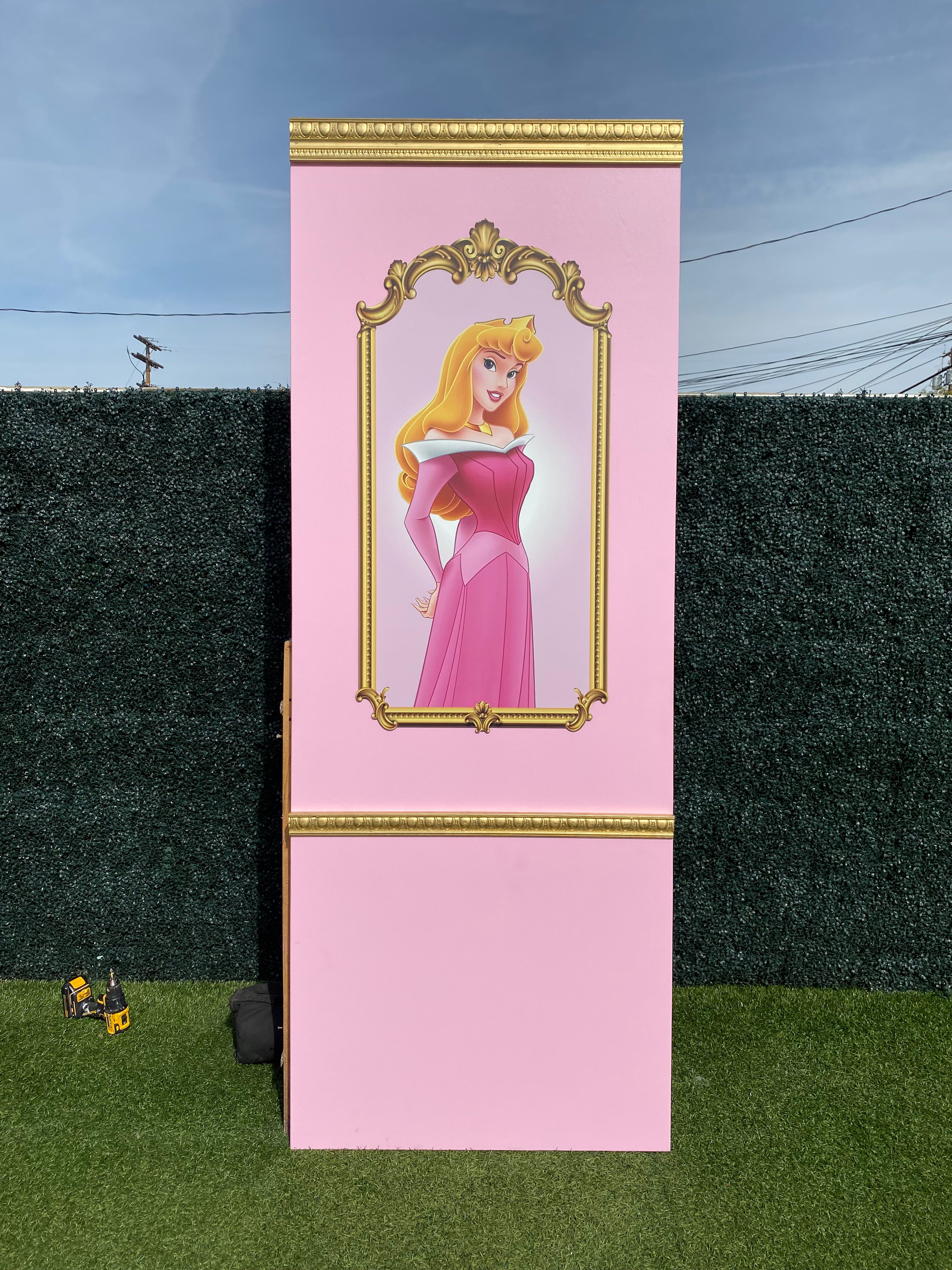 Princess Aurora Backdrop Panel