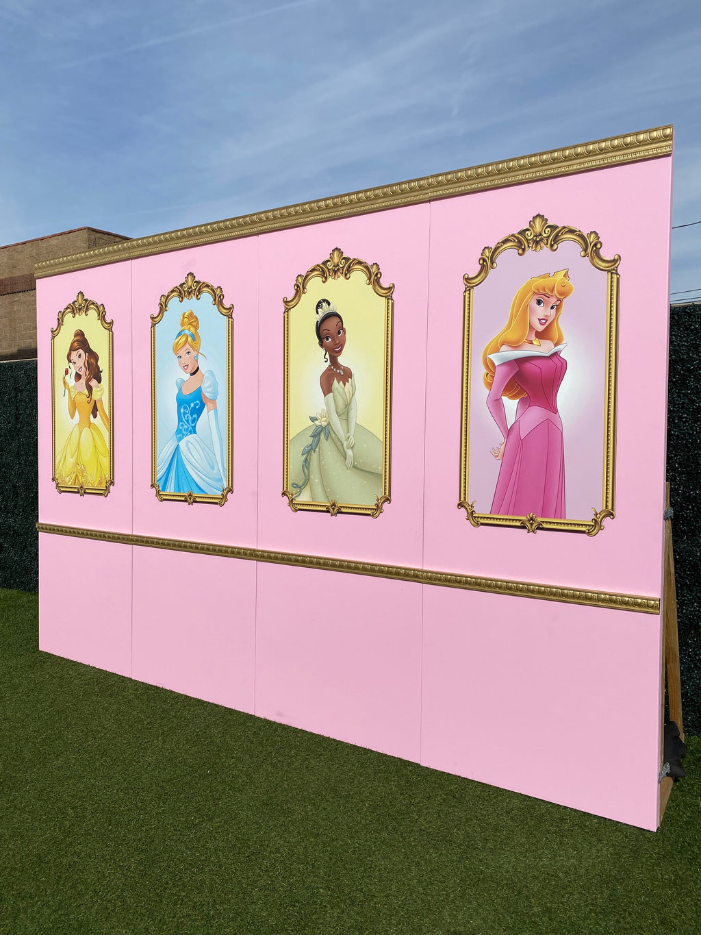 Princess Aurora Backdrop Panel