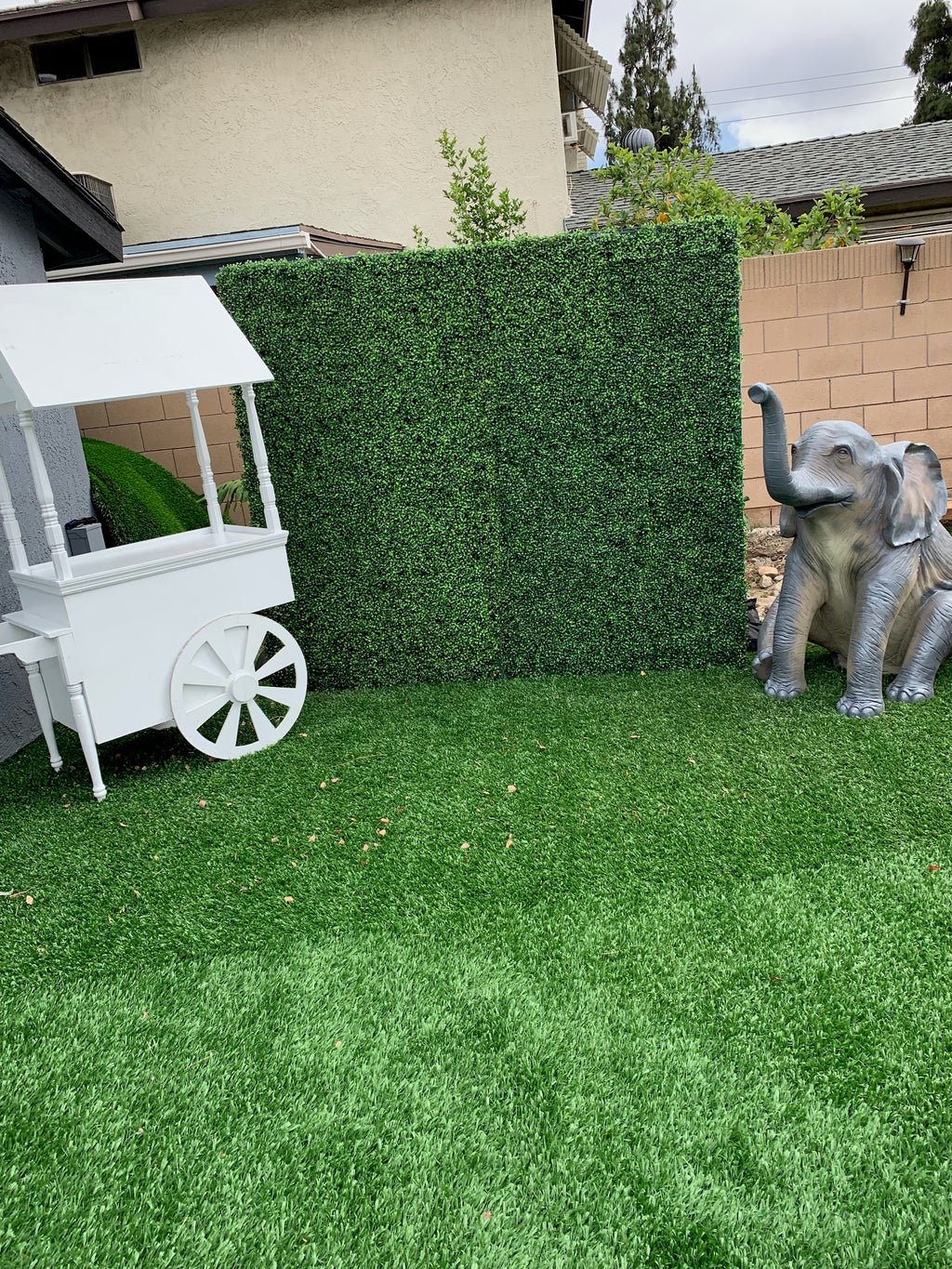 Sitting Elephant