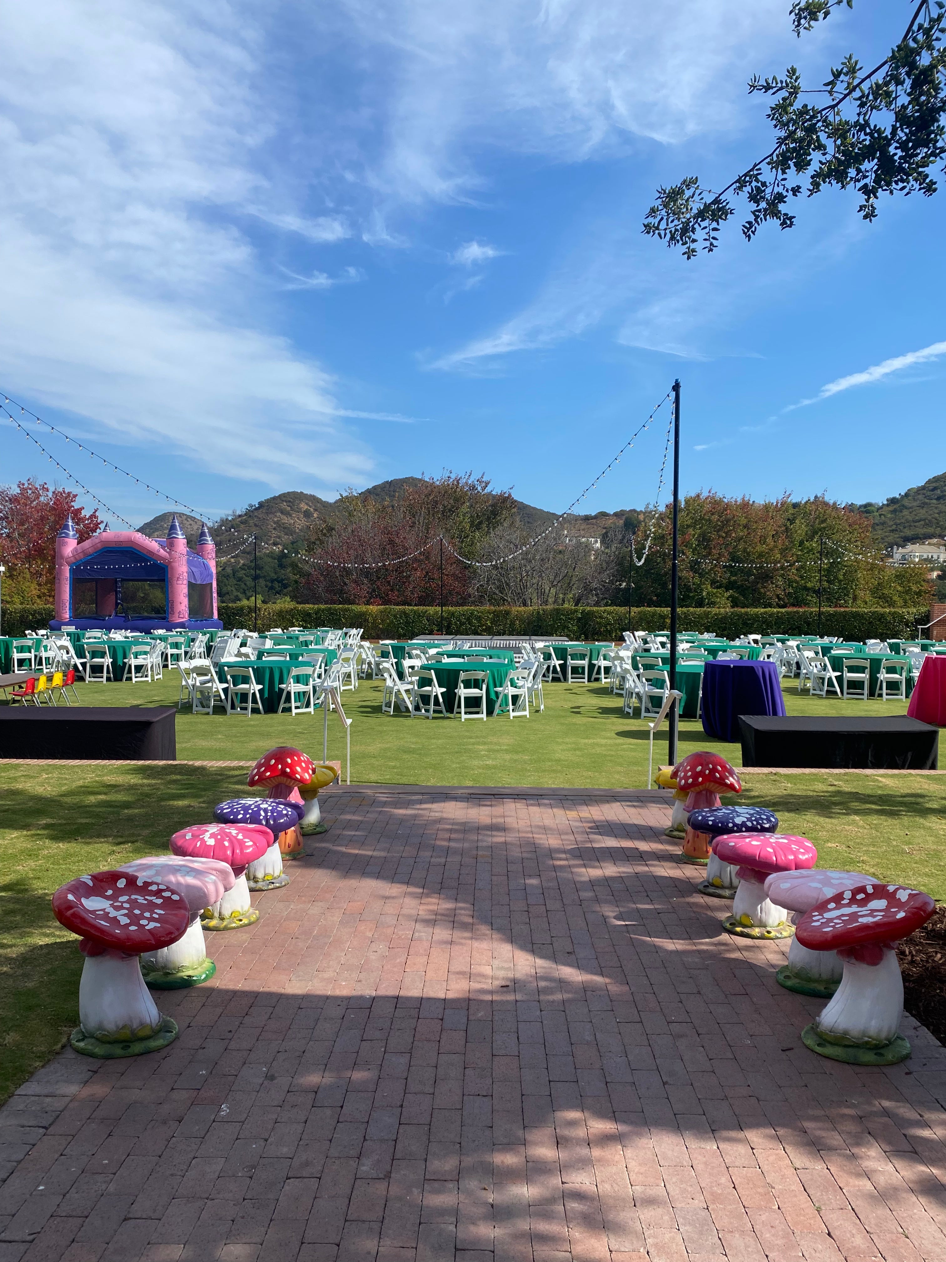 Yellow Top Mushroom Stool