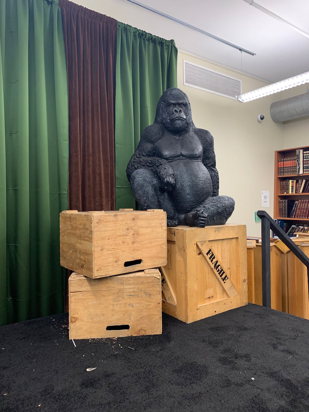 Sitting Gorilla