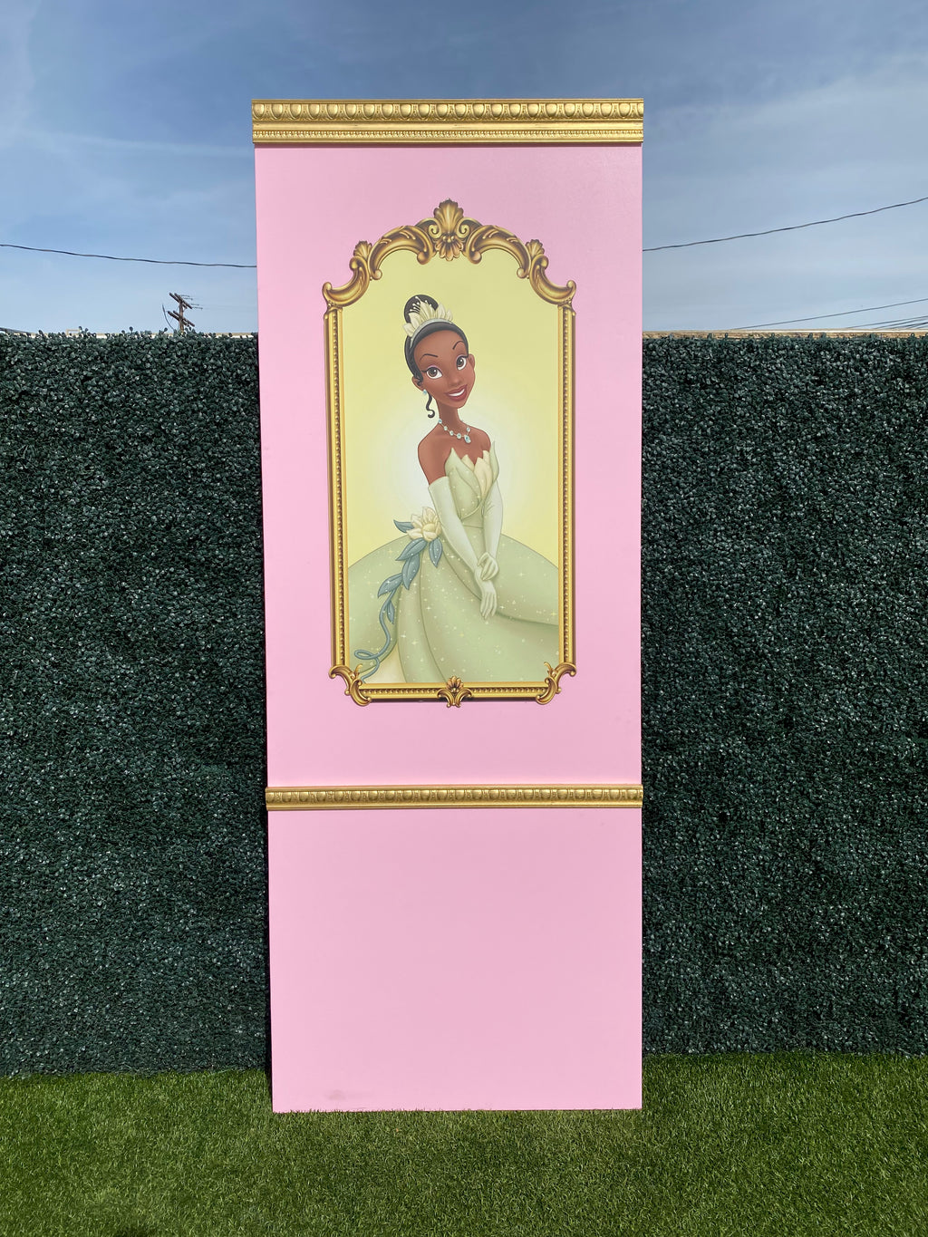 Princess Tiana Backdrop Panel
