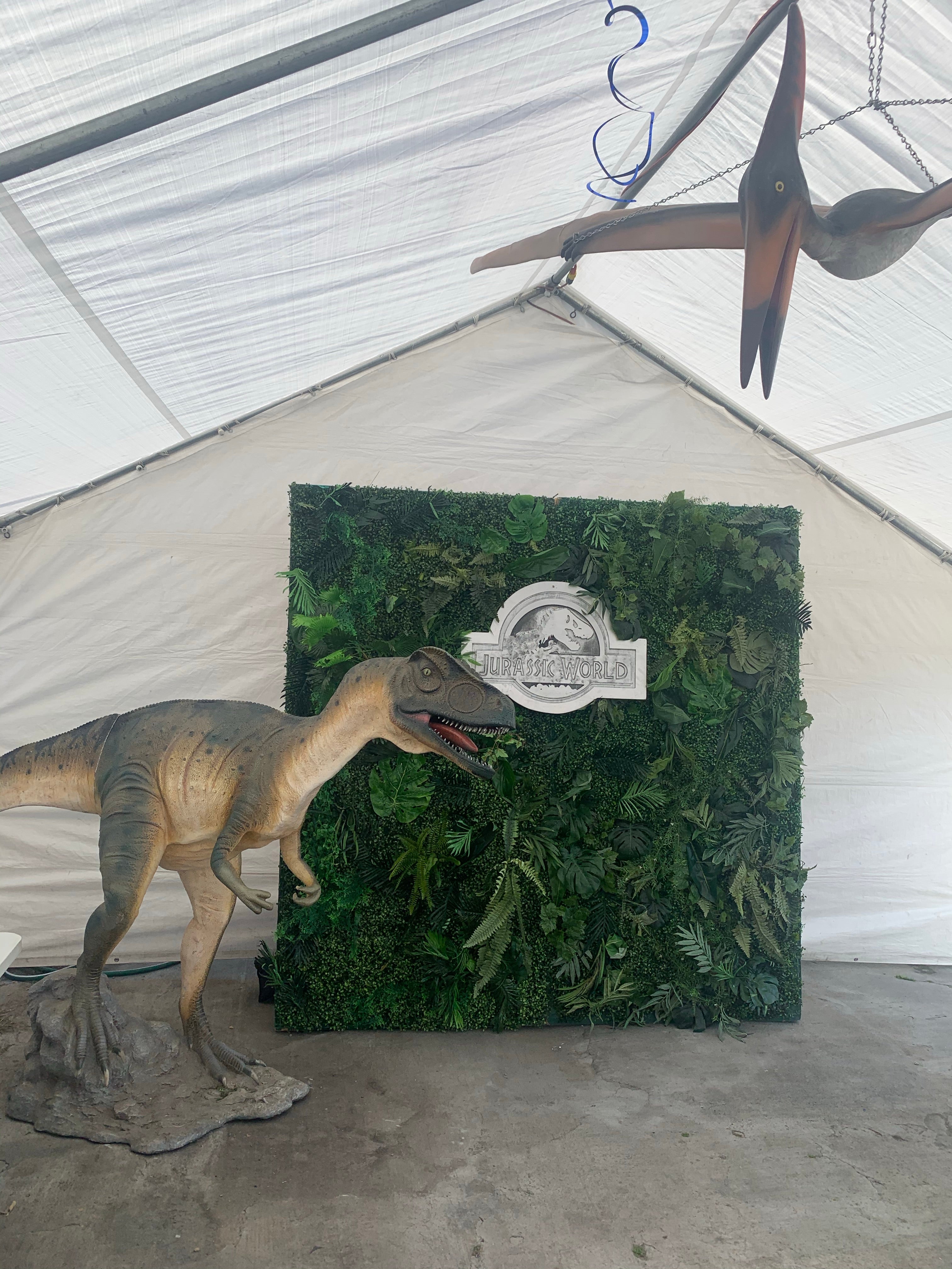 Allosaurus Dinosaur