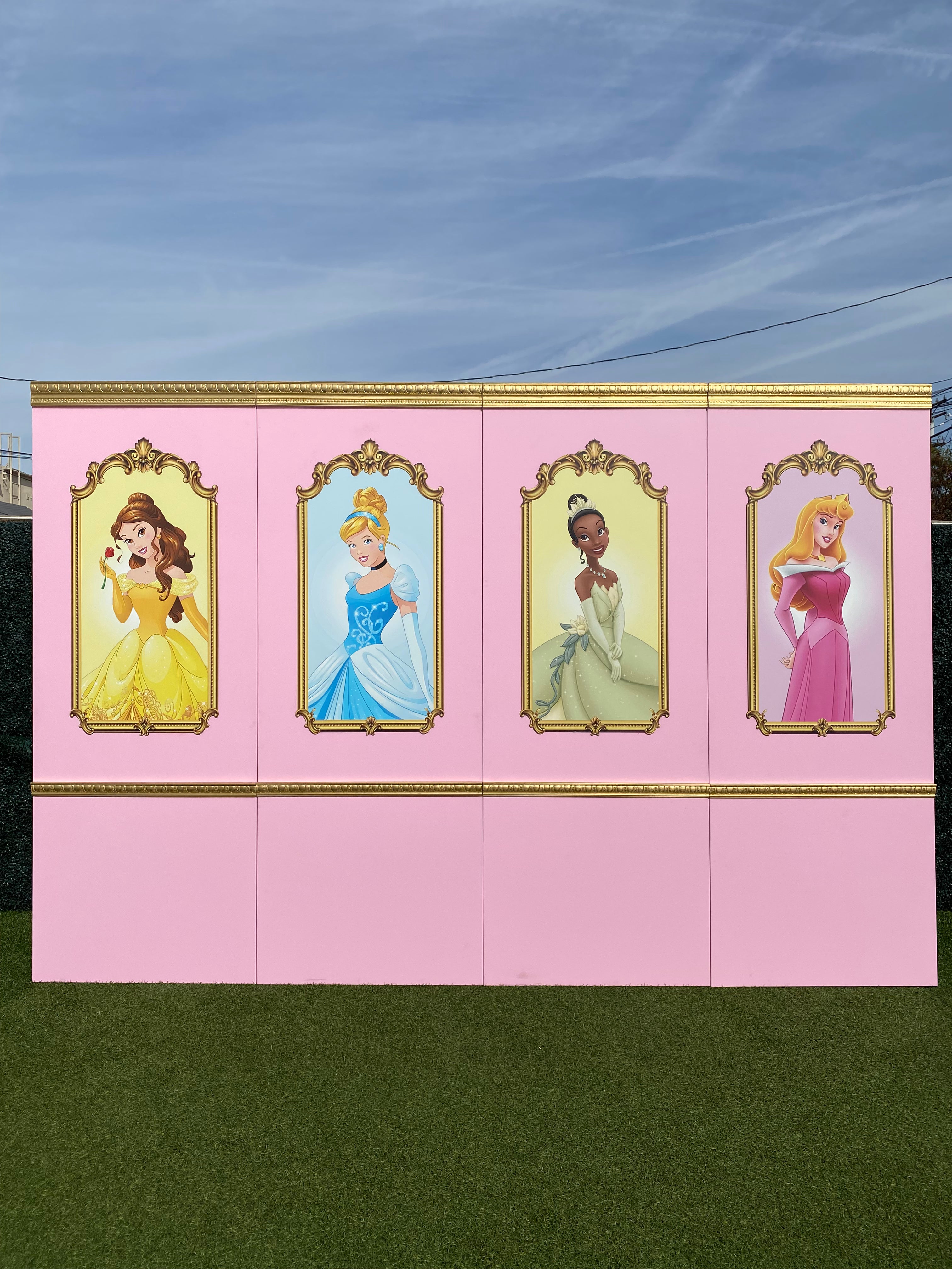 Princess Cinderella Backdrop Panel