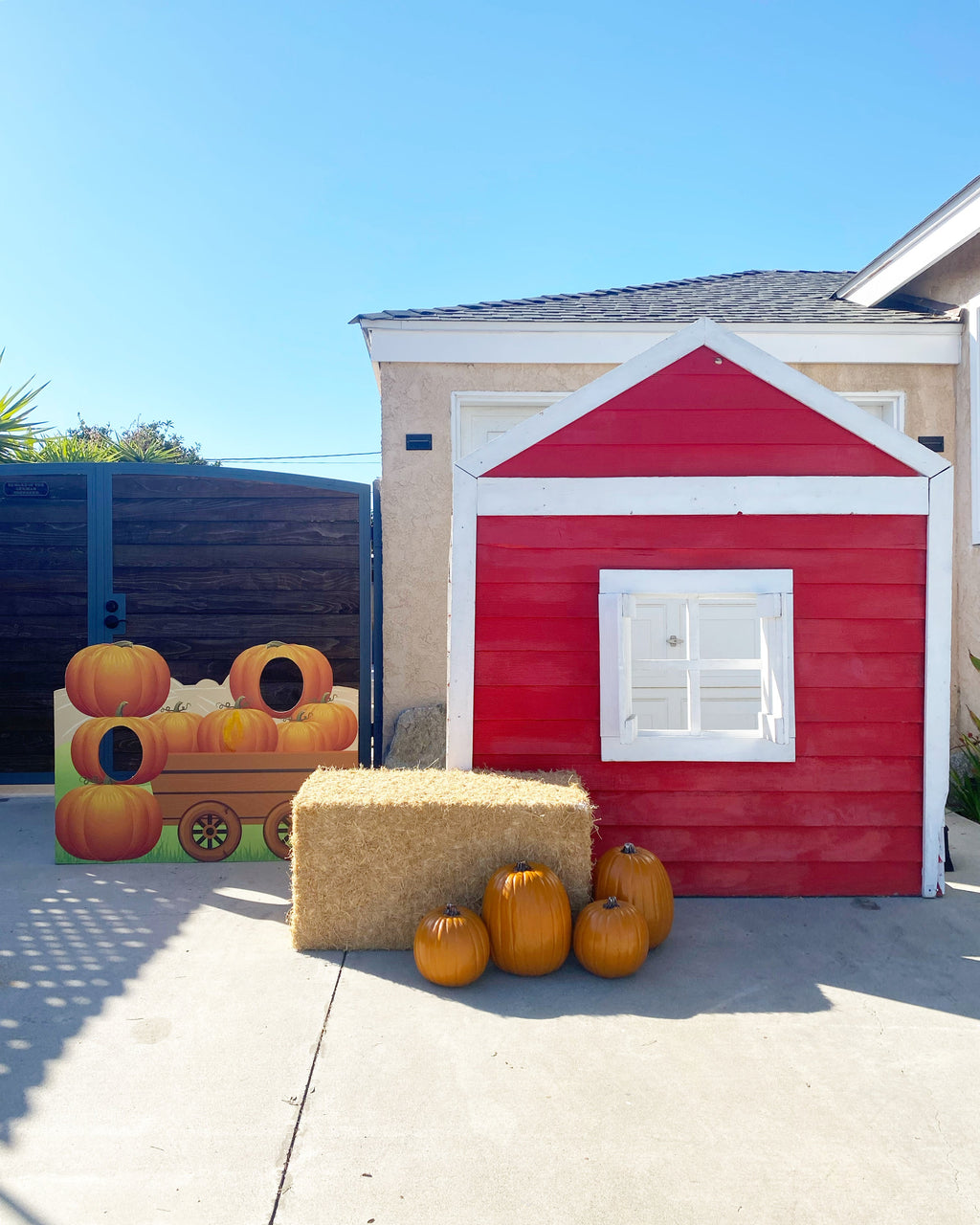 Medium Pumpkin