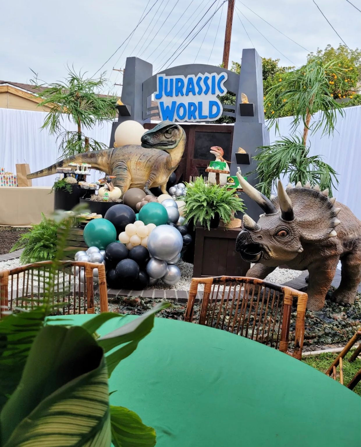 Pteranodon Dinosaur Egg