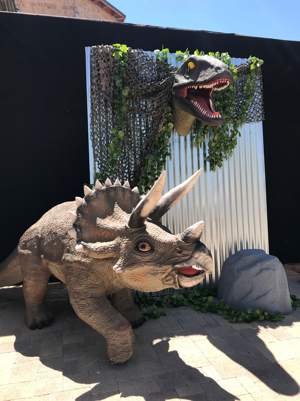 Triceratops Dinosaur