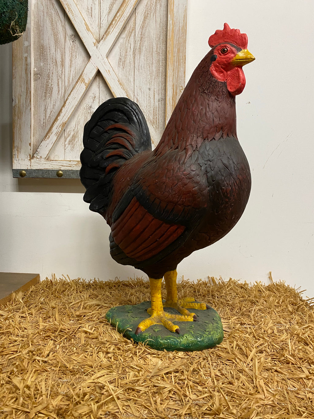 Red Chicken Hen