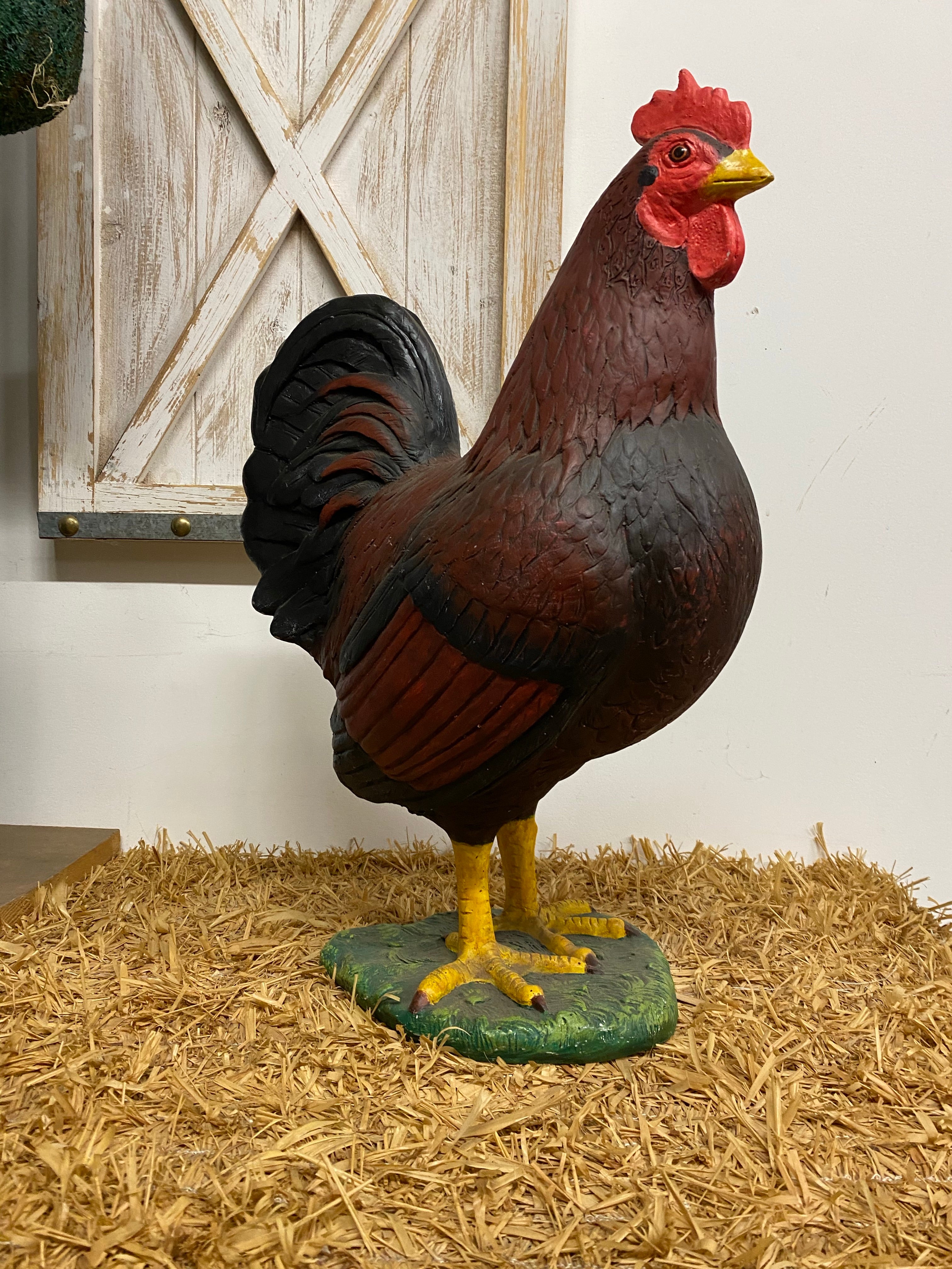 Red Chicken Hen