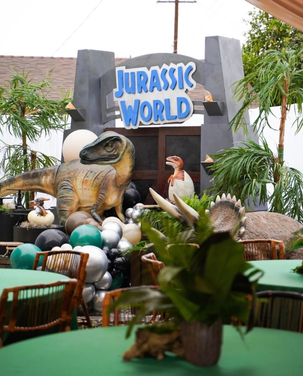 Head Turned Allosaurus Dinosaur