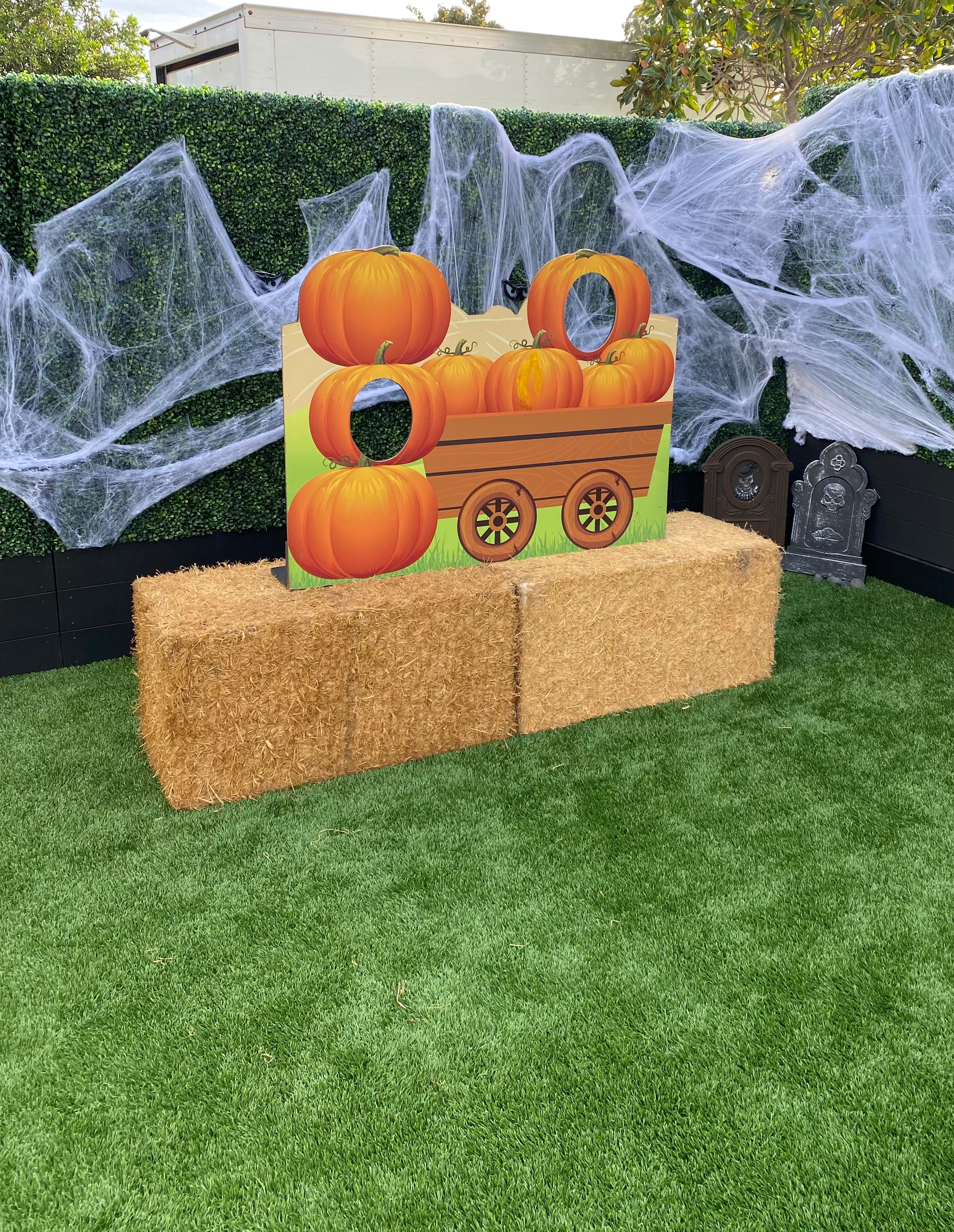 Pumpkin Patch Photo Op