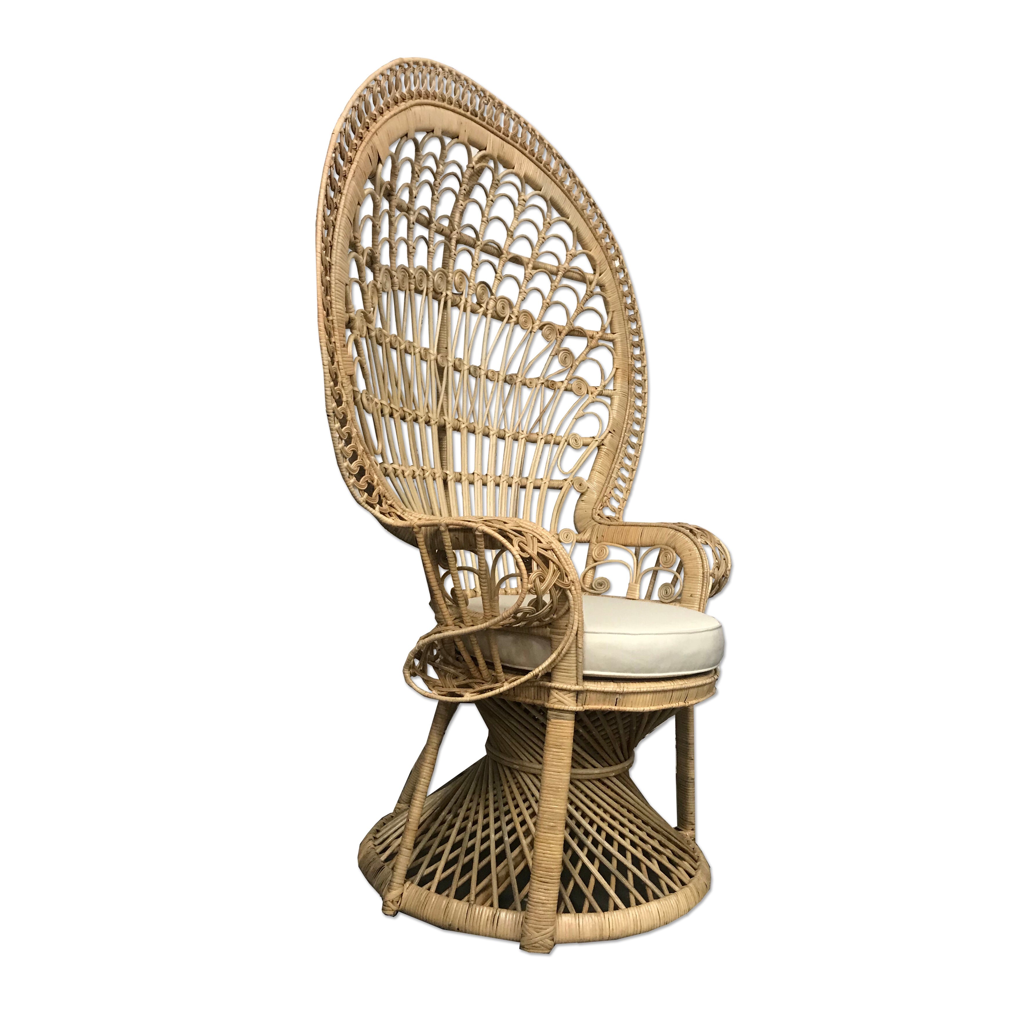 Adult Traditional Peacock Chair