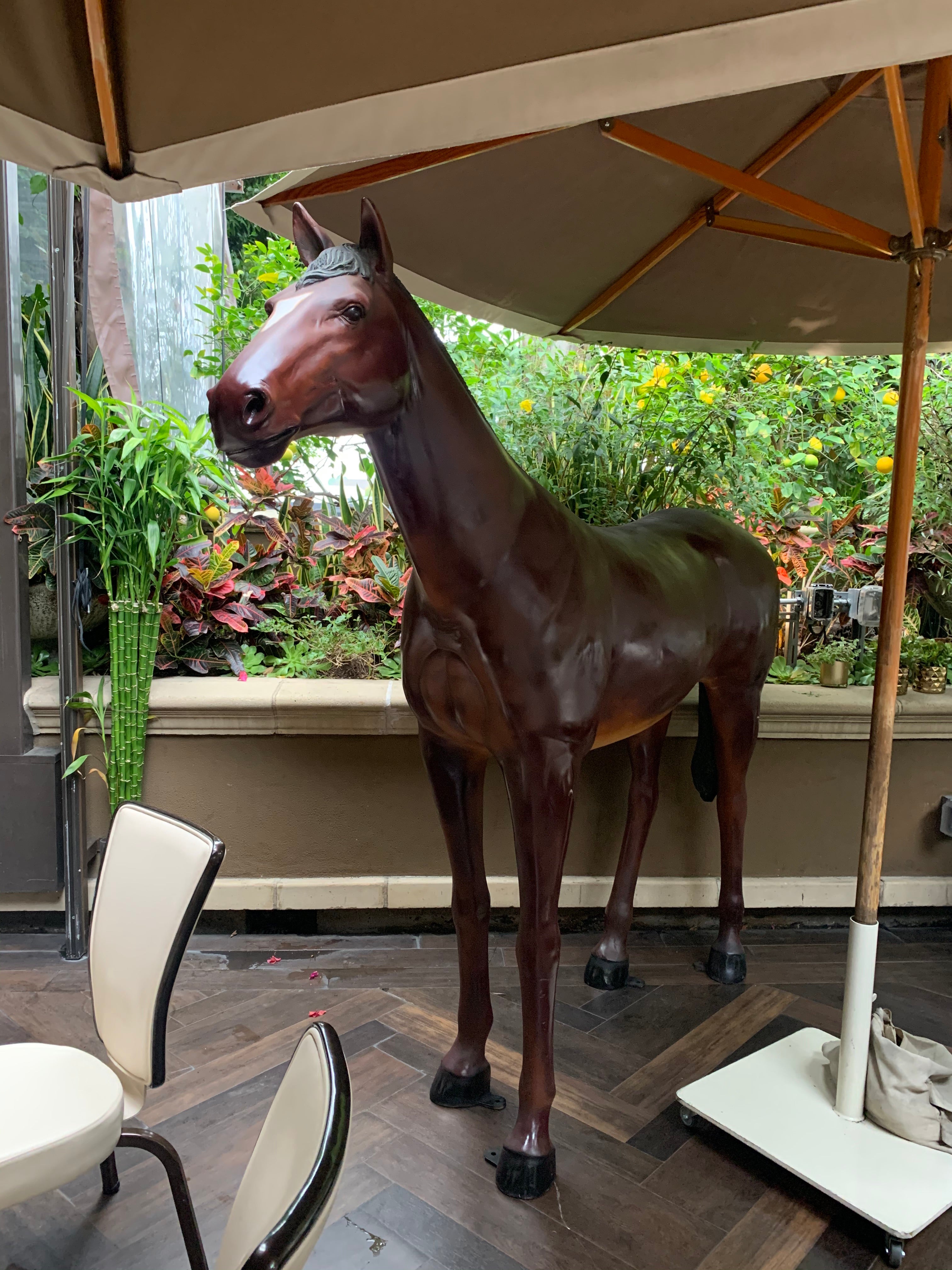 Large Dark Brown Horse