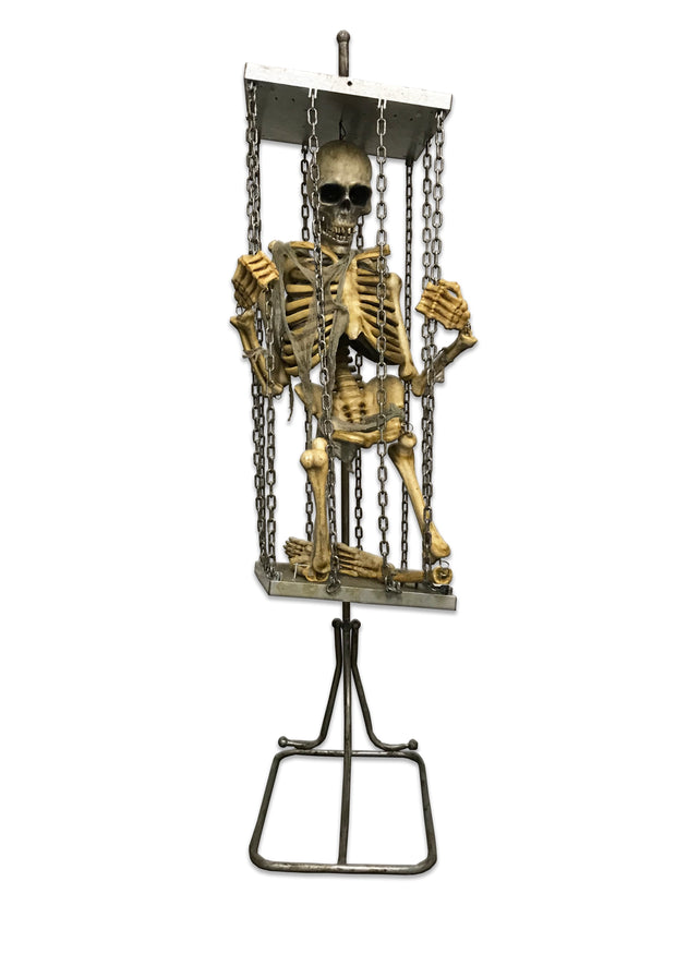 Skeleton in Hanging Cage