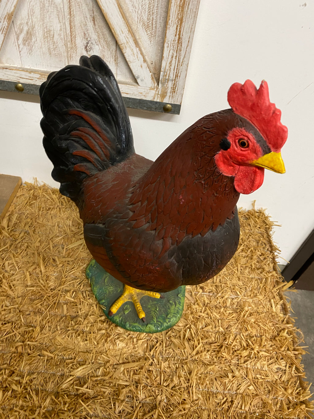 Red Chicken Hen