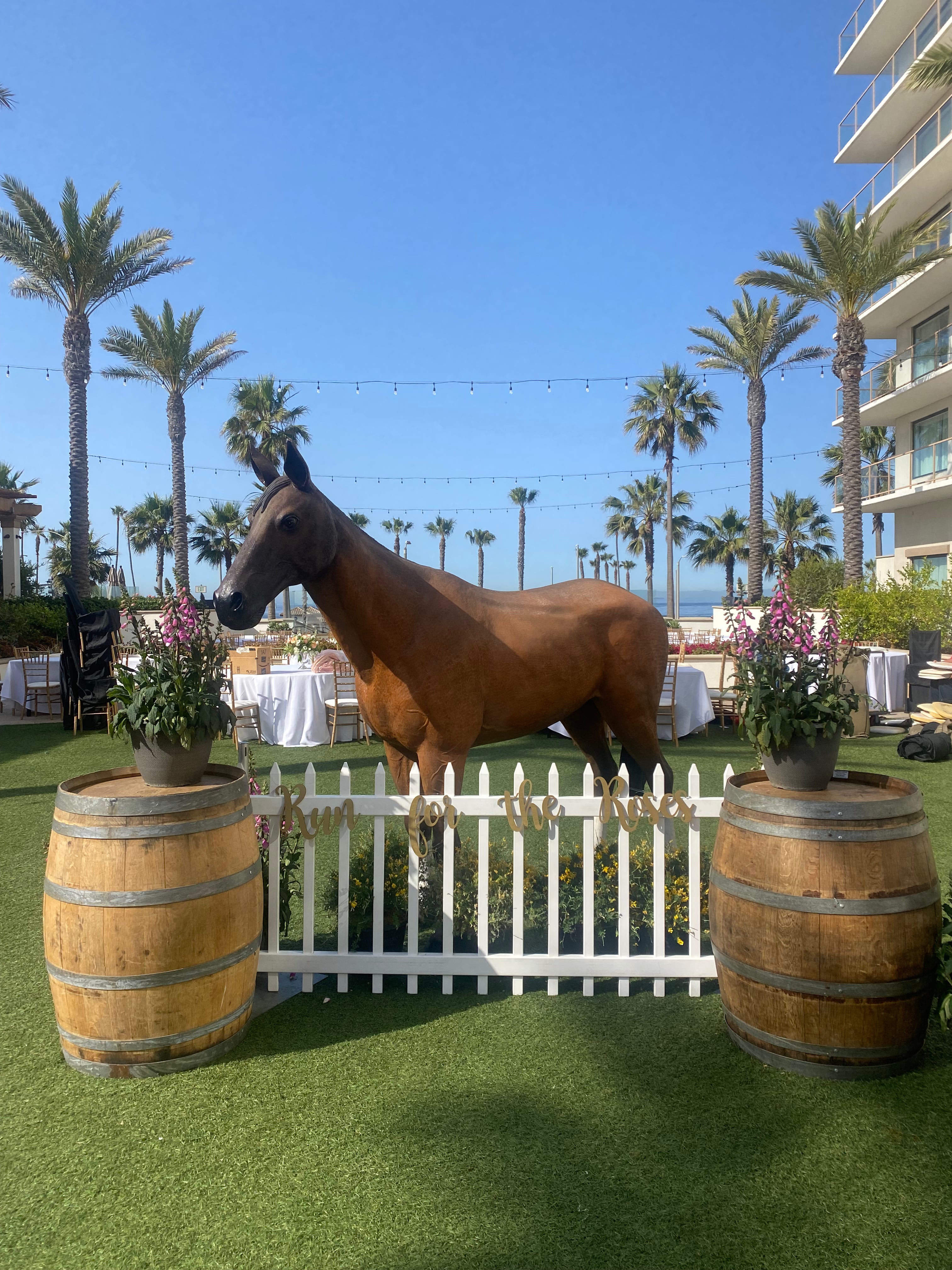Large Tan & White Horse