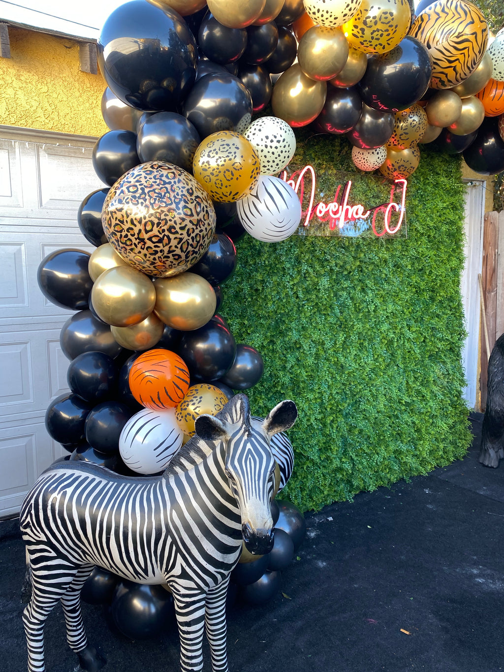 Zebra