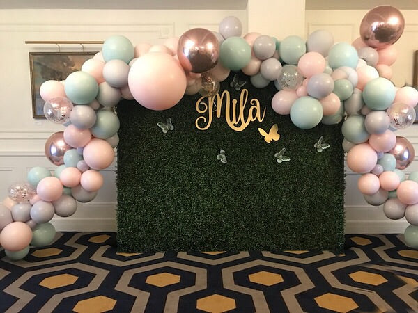 Hedge Wall With No Black Base