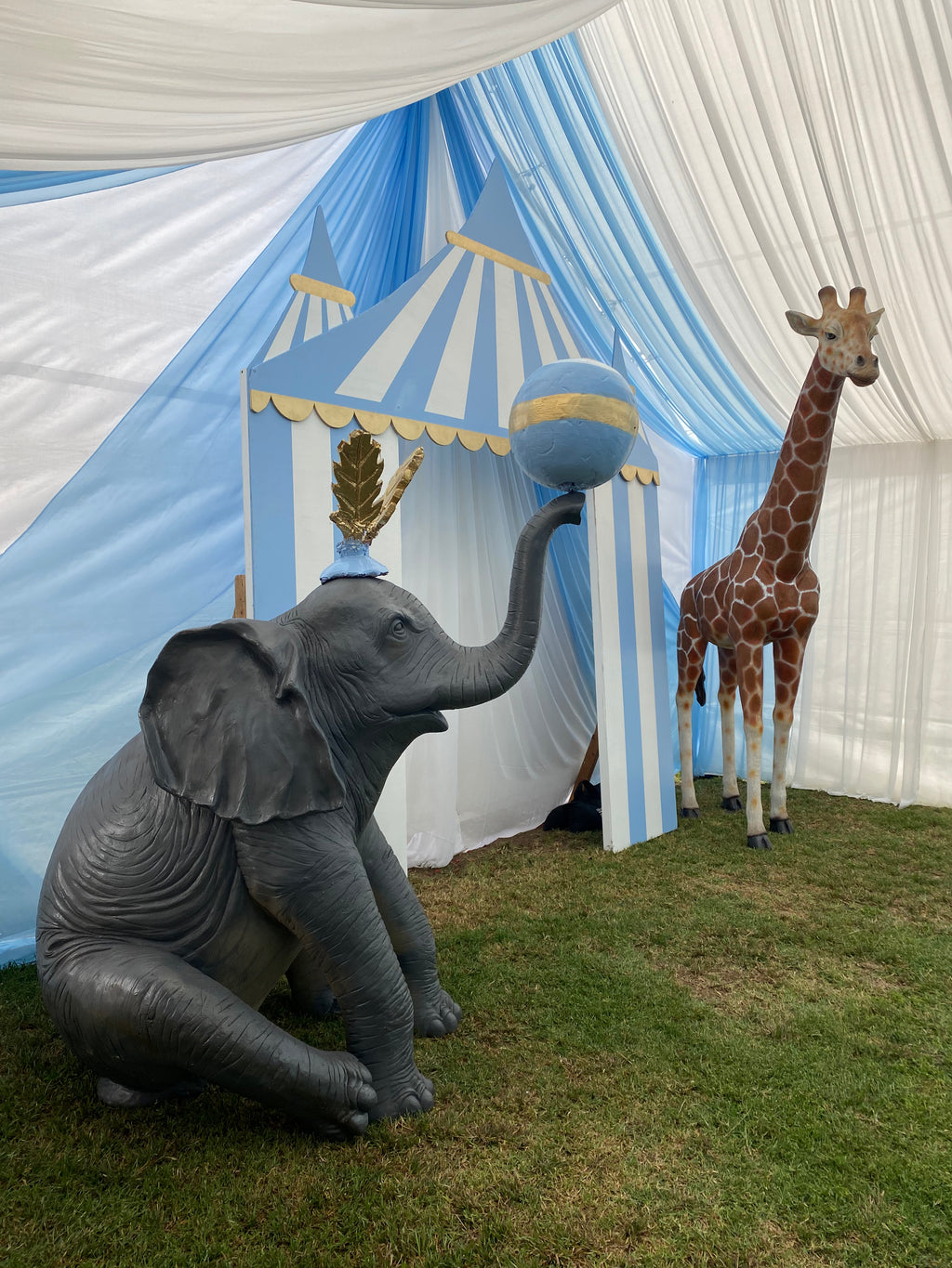 Blue Circus / Carnival Tent Backdrop