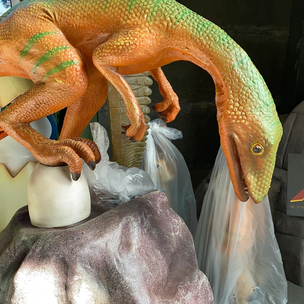 Compsognathus Dinosaur On Rock