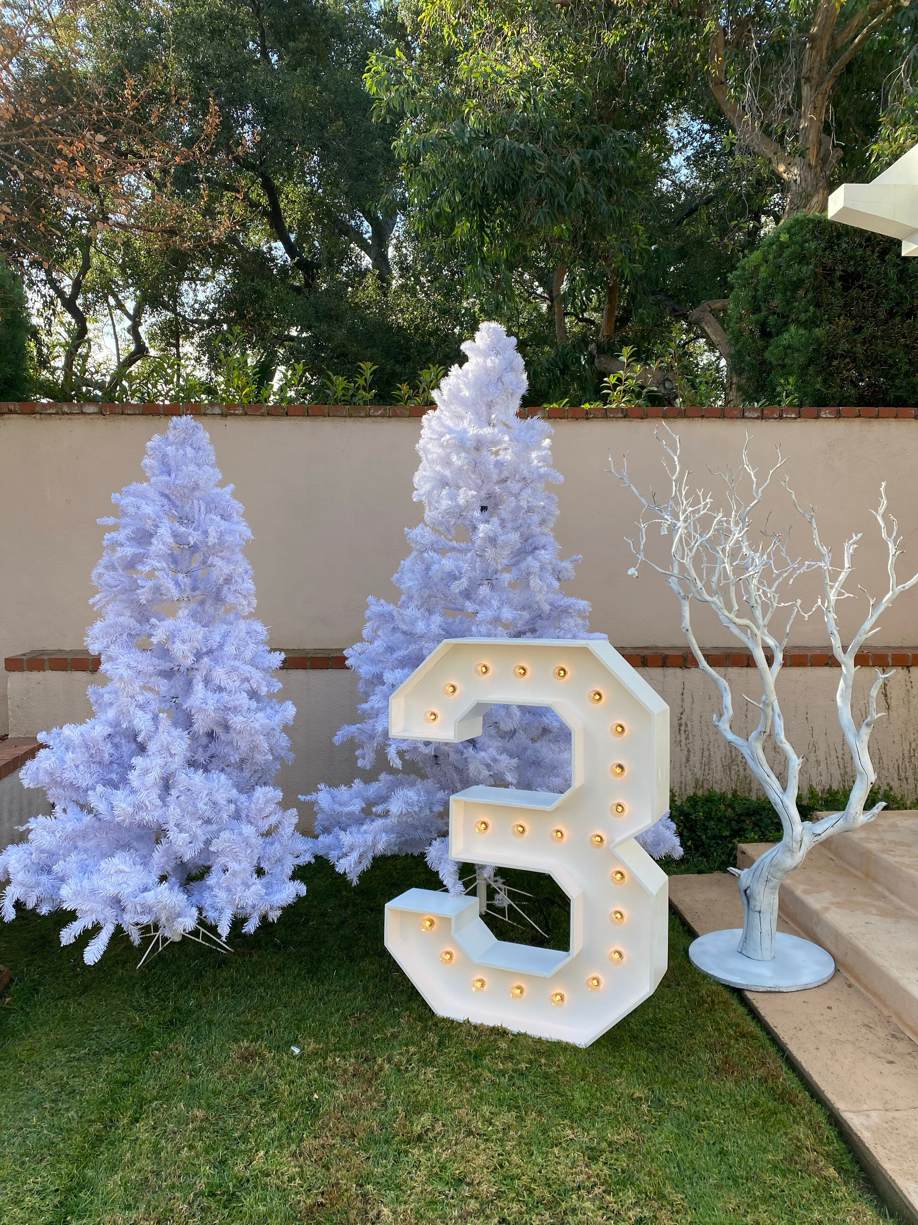 White Manzanita Tree