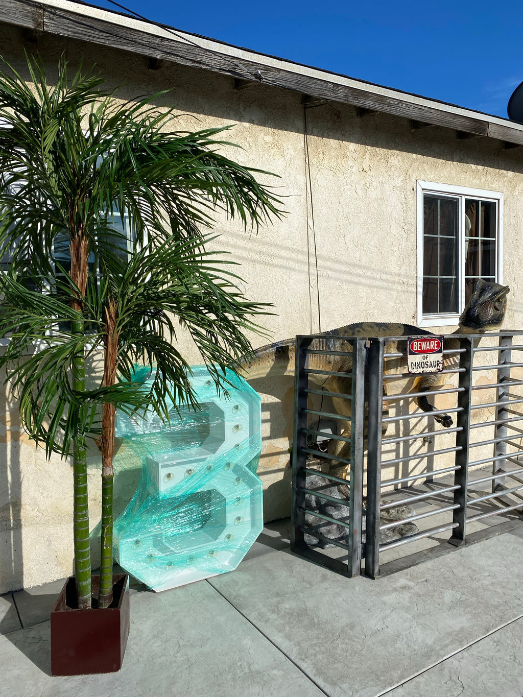 Head Turned Allosaurus Dinosaur