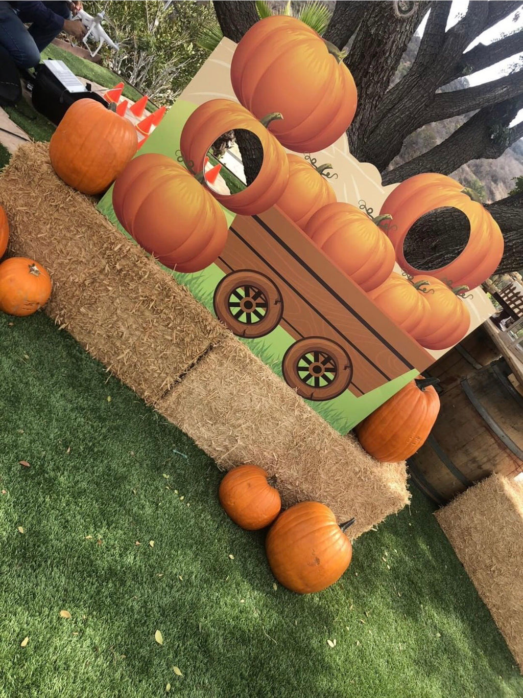 Pumpkin Patch Photo Op