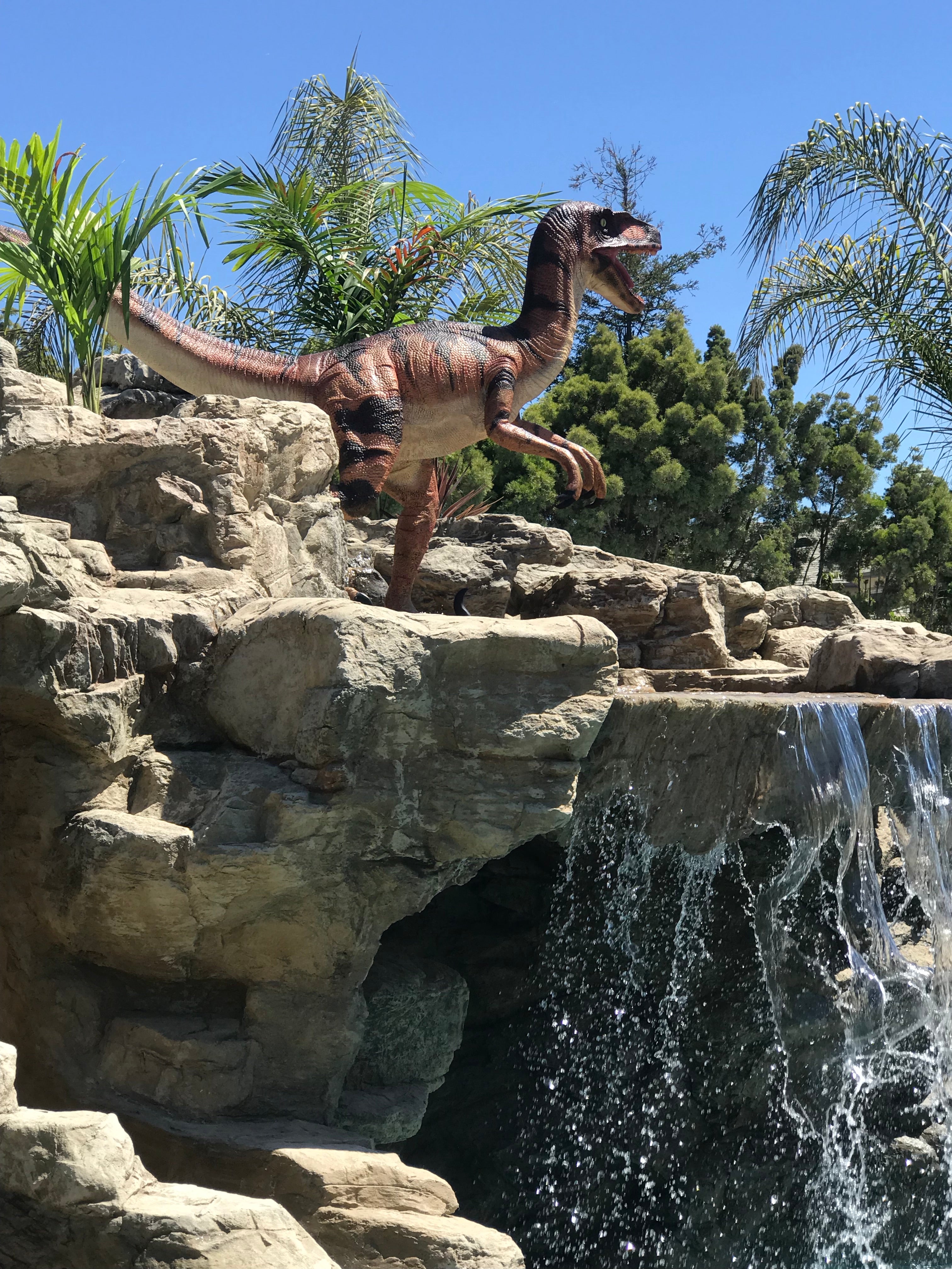 Orange Velociraptor Dinosaur