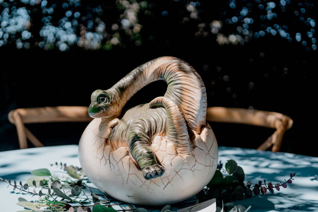 Brachiosaurus Dinosaur Egg