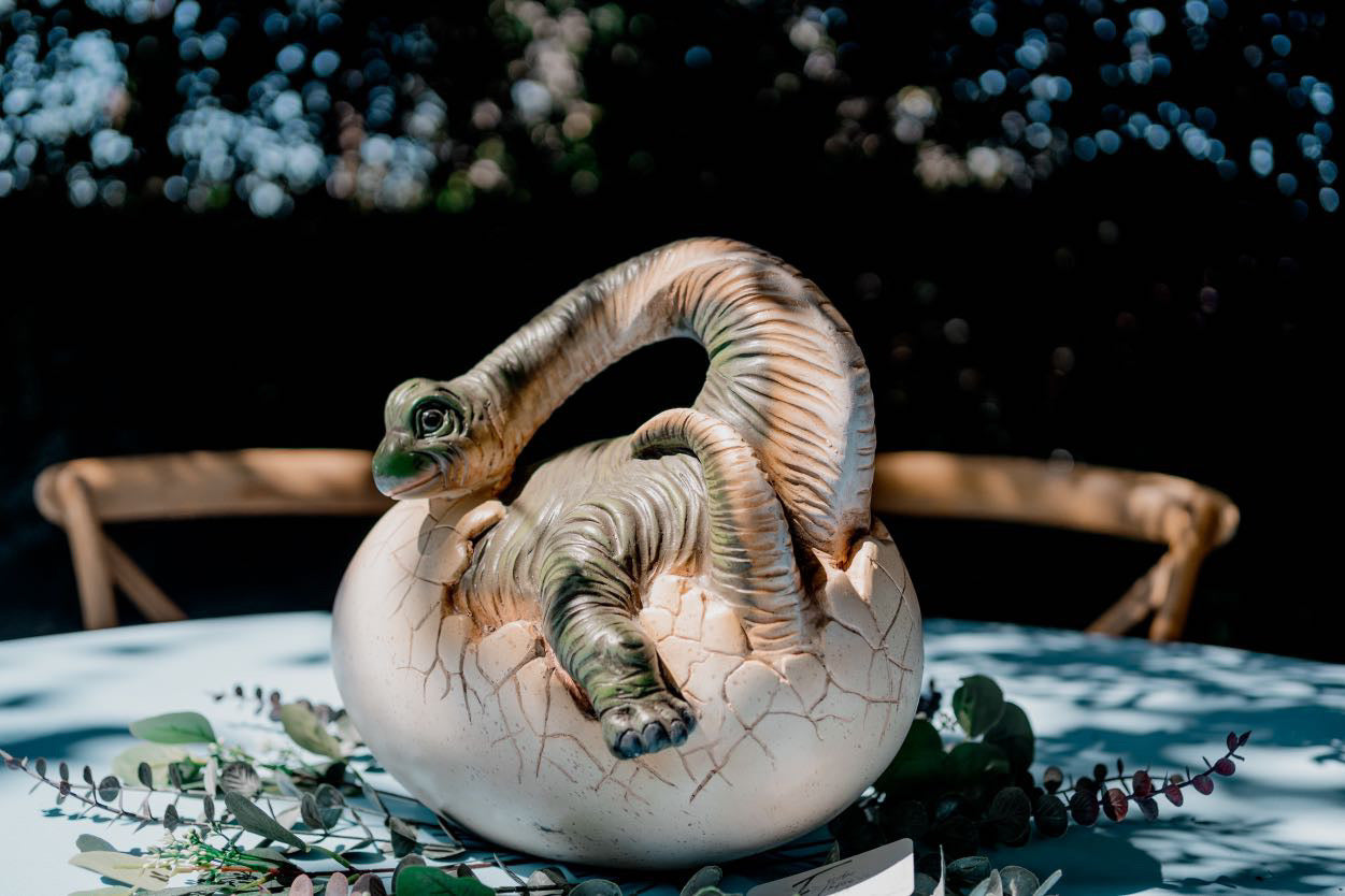 Brachiosaurus Dinosaur Egg