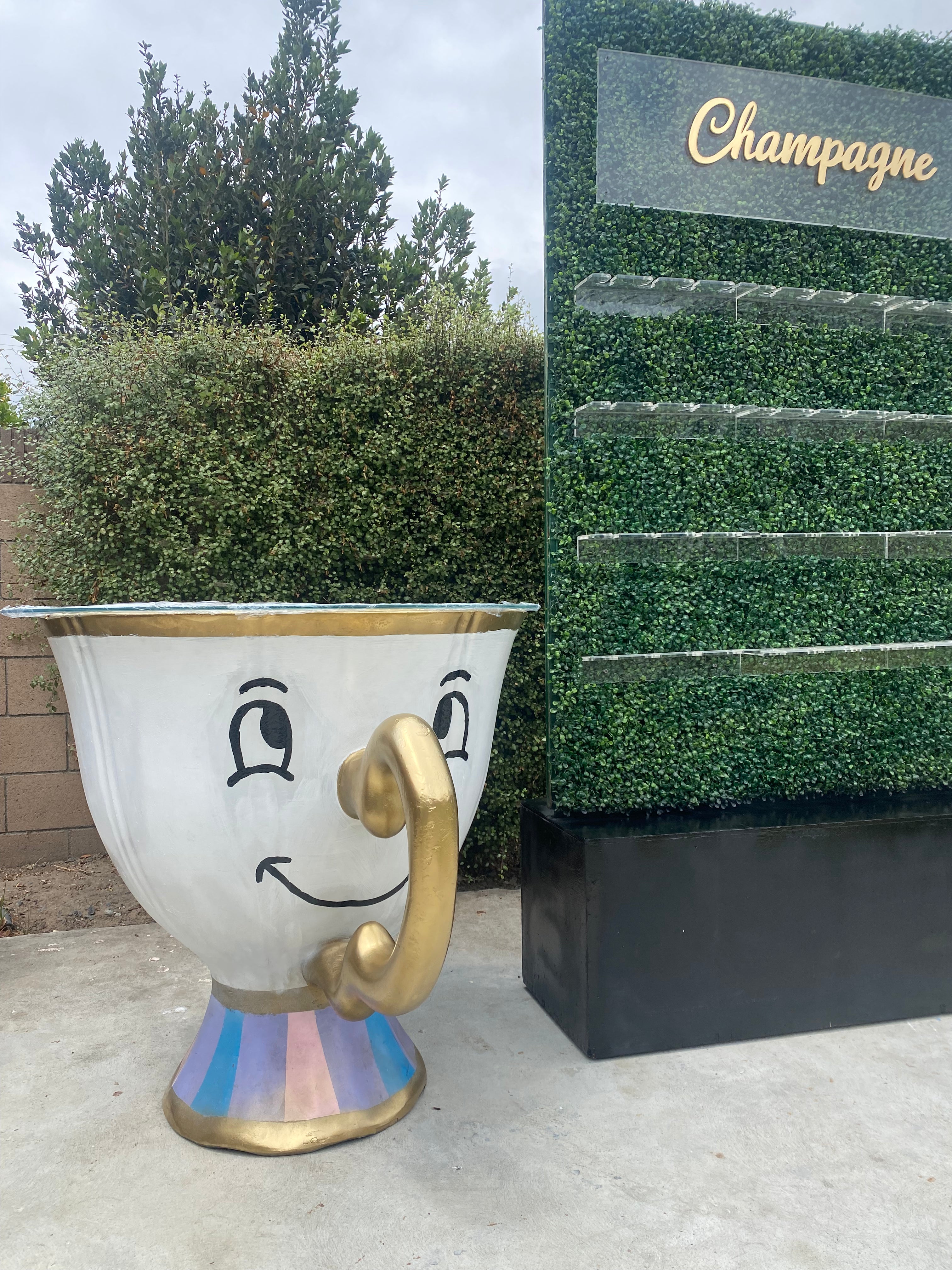 Beauty & The Beast Tea Cup
