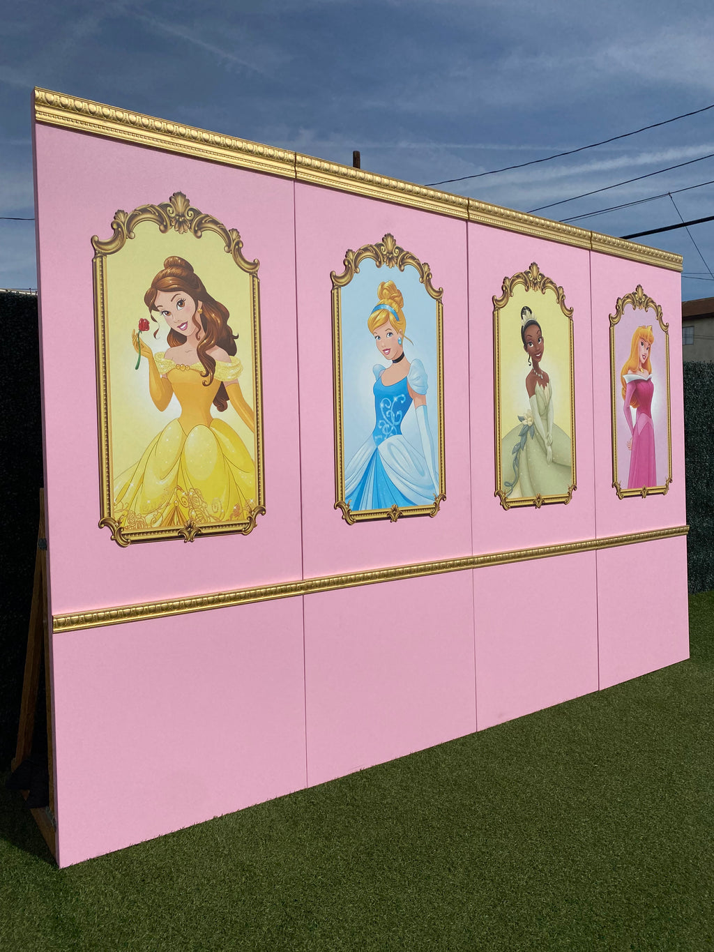 Princess Cinderella Backdrop Panel