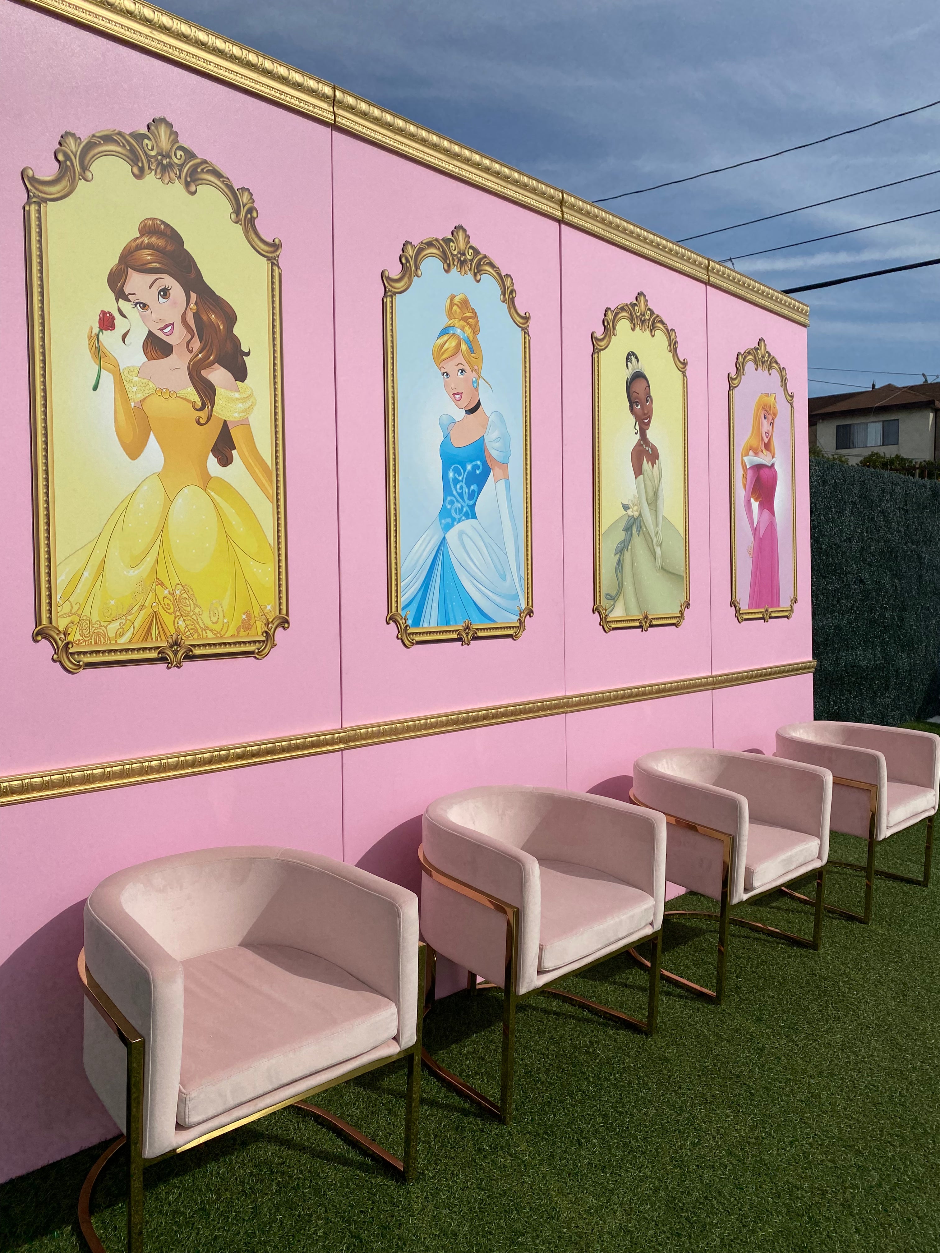 Princess Cinderella Backdrop Panel