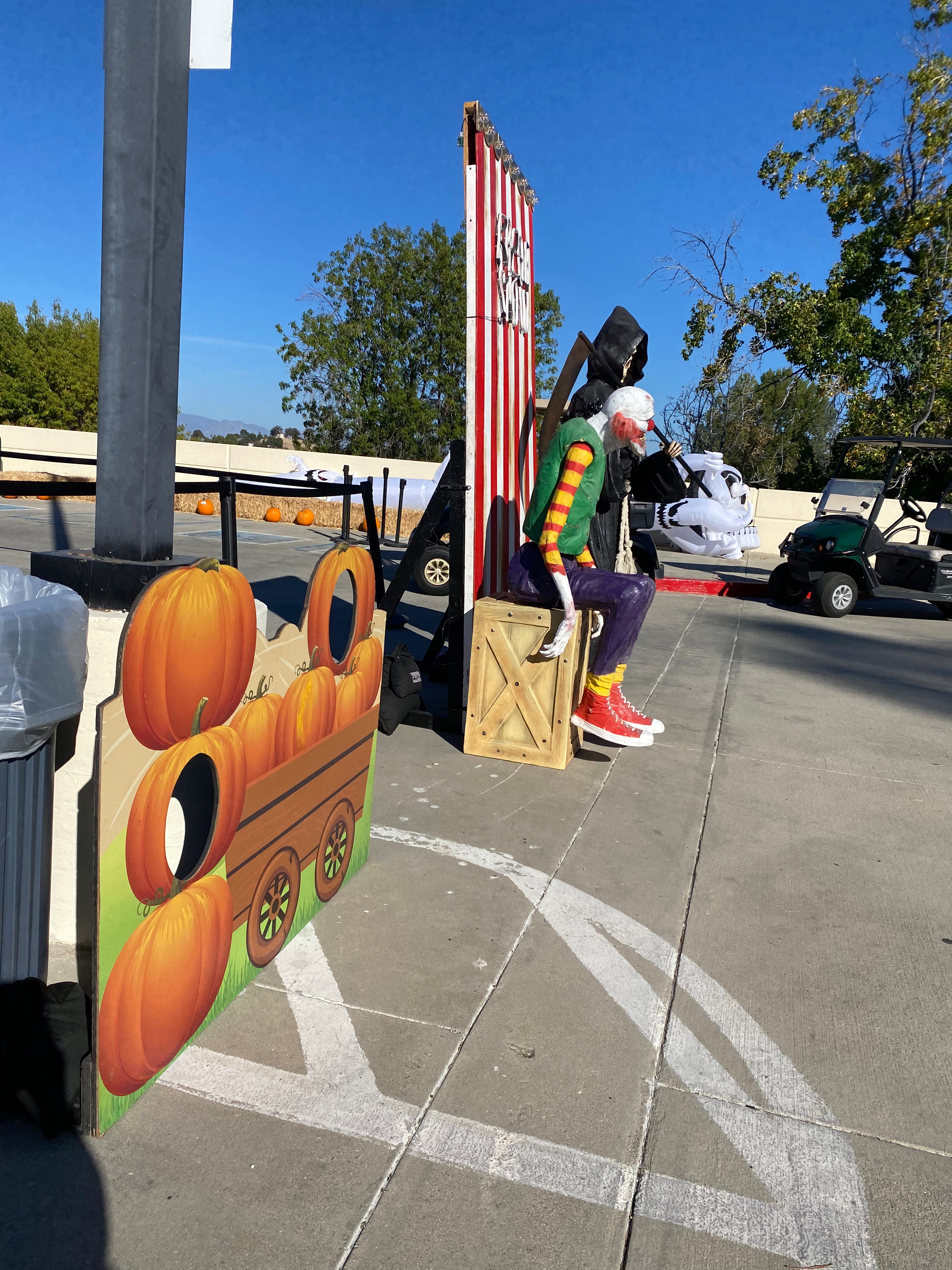 Pumpkin Patch Photo Op