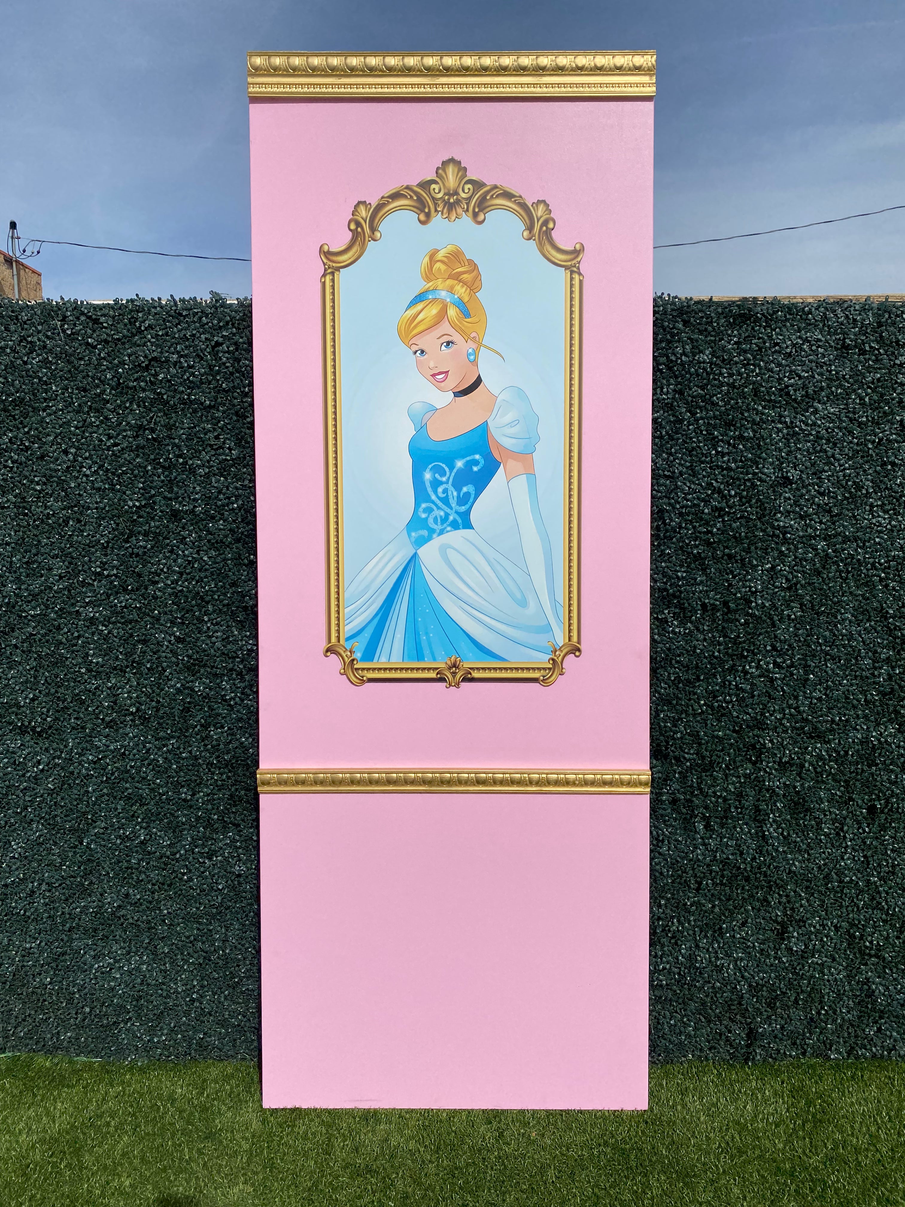 Princess Cinderella Backdrop Panel