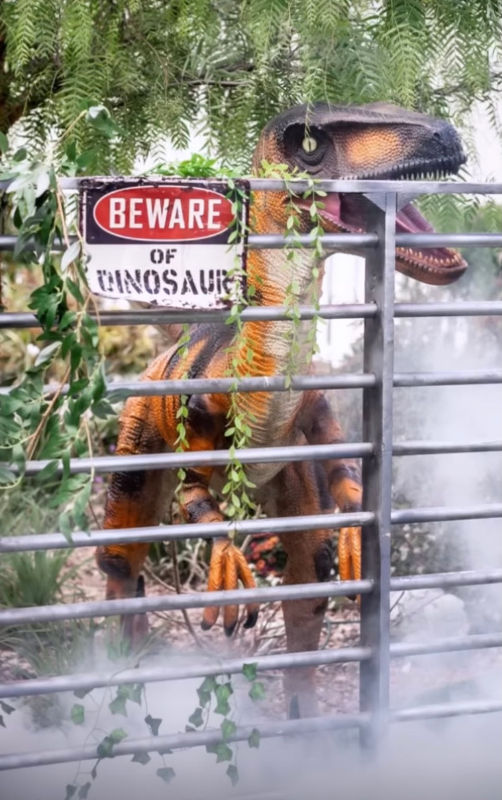 Orange Velociraptor Dinosaur