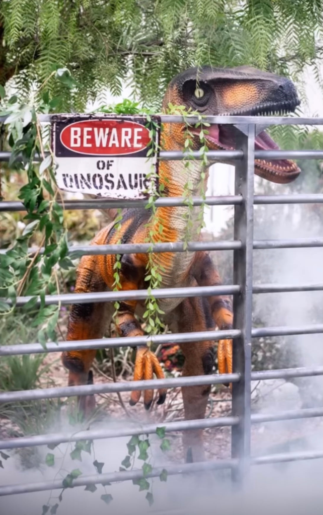 Orange Velociraptor Dinosaur