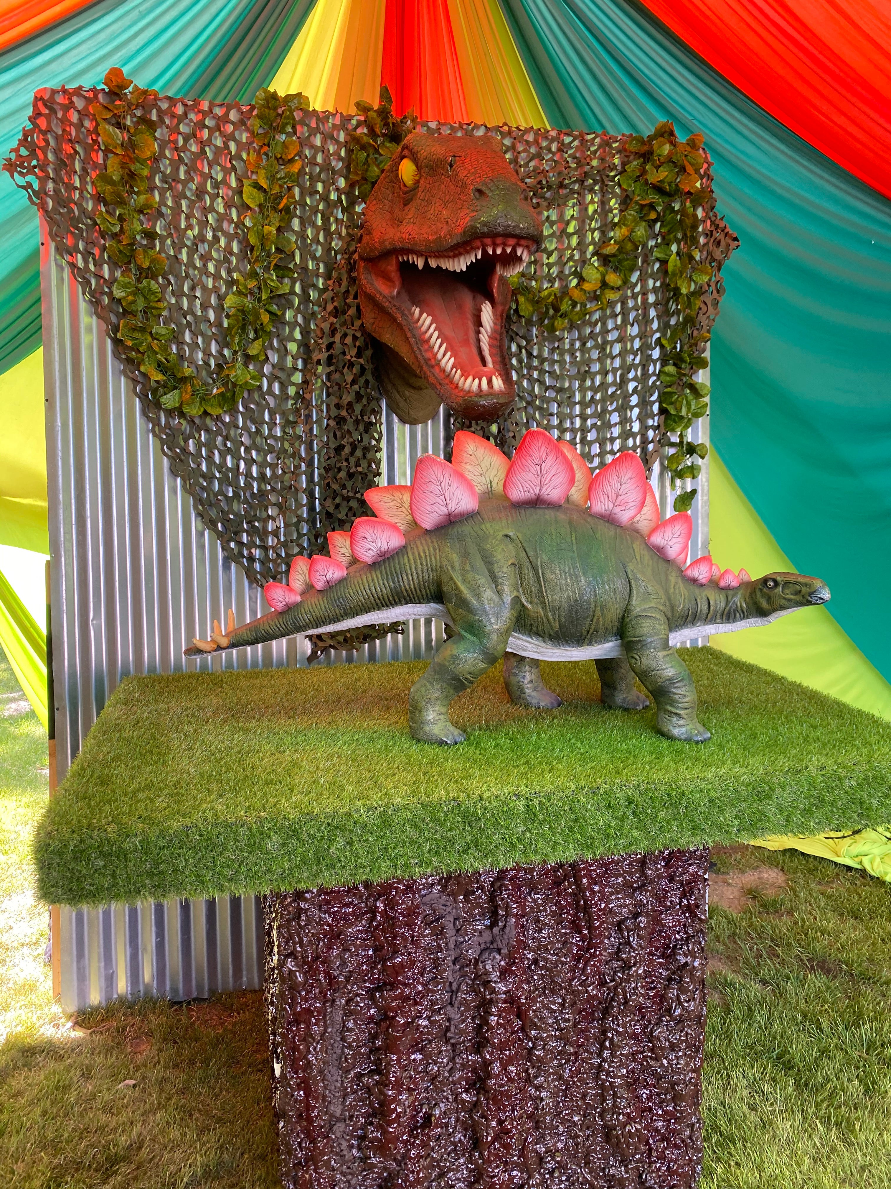 Baby Stegosaurus Dinosaur