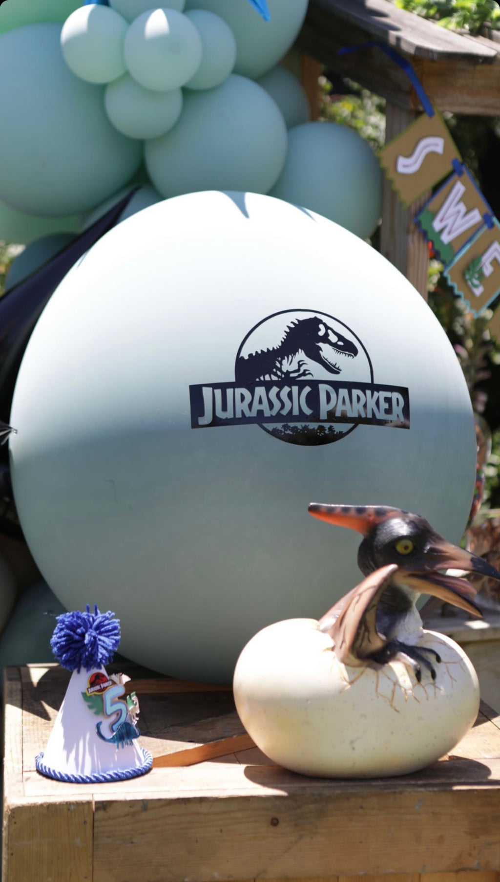 Pteranodon Dinosaur Egg